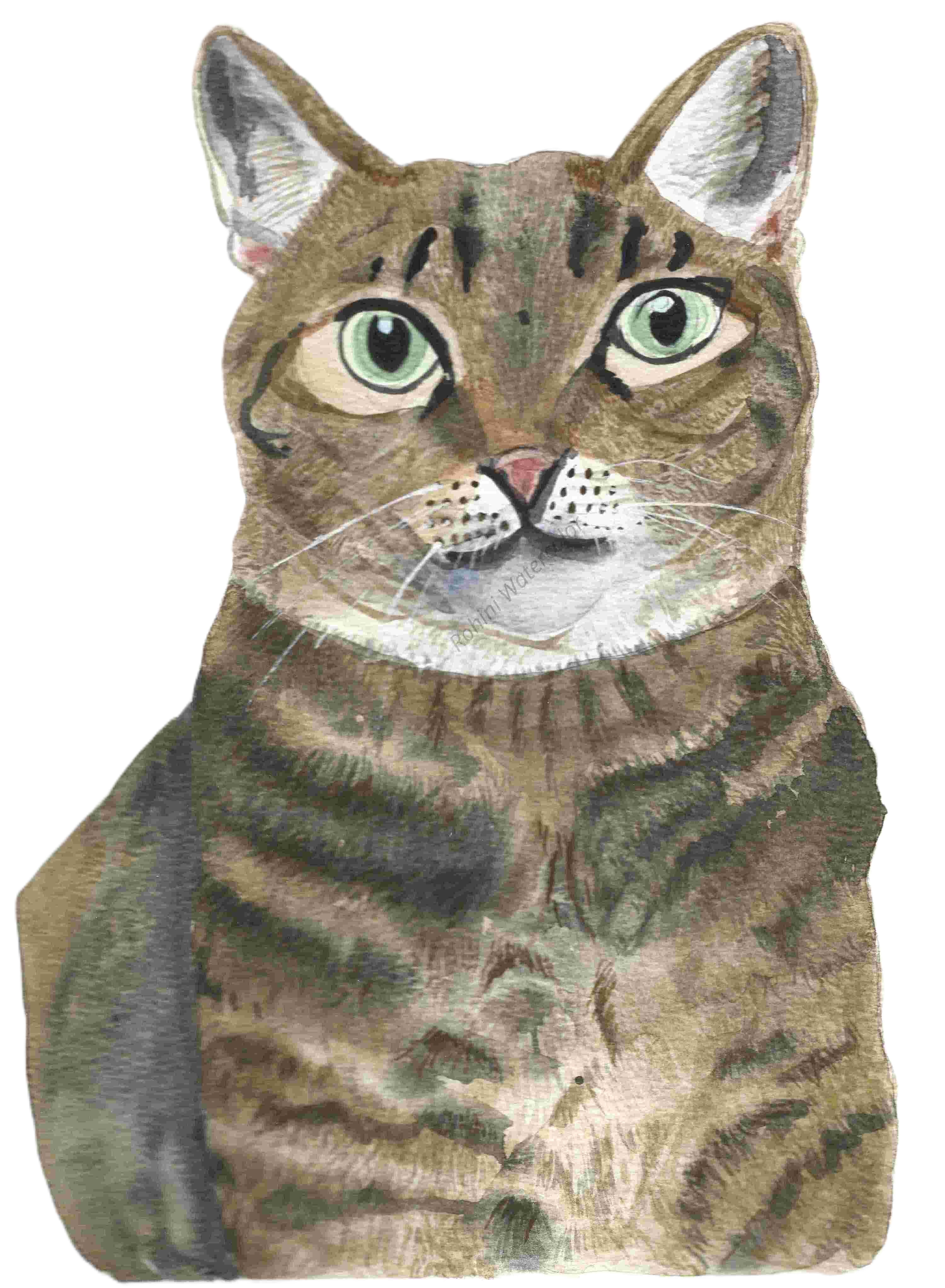 Cat Original Watercolor  9 x 12