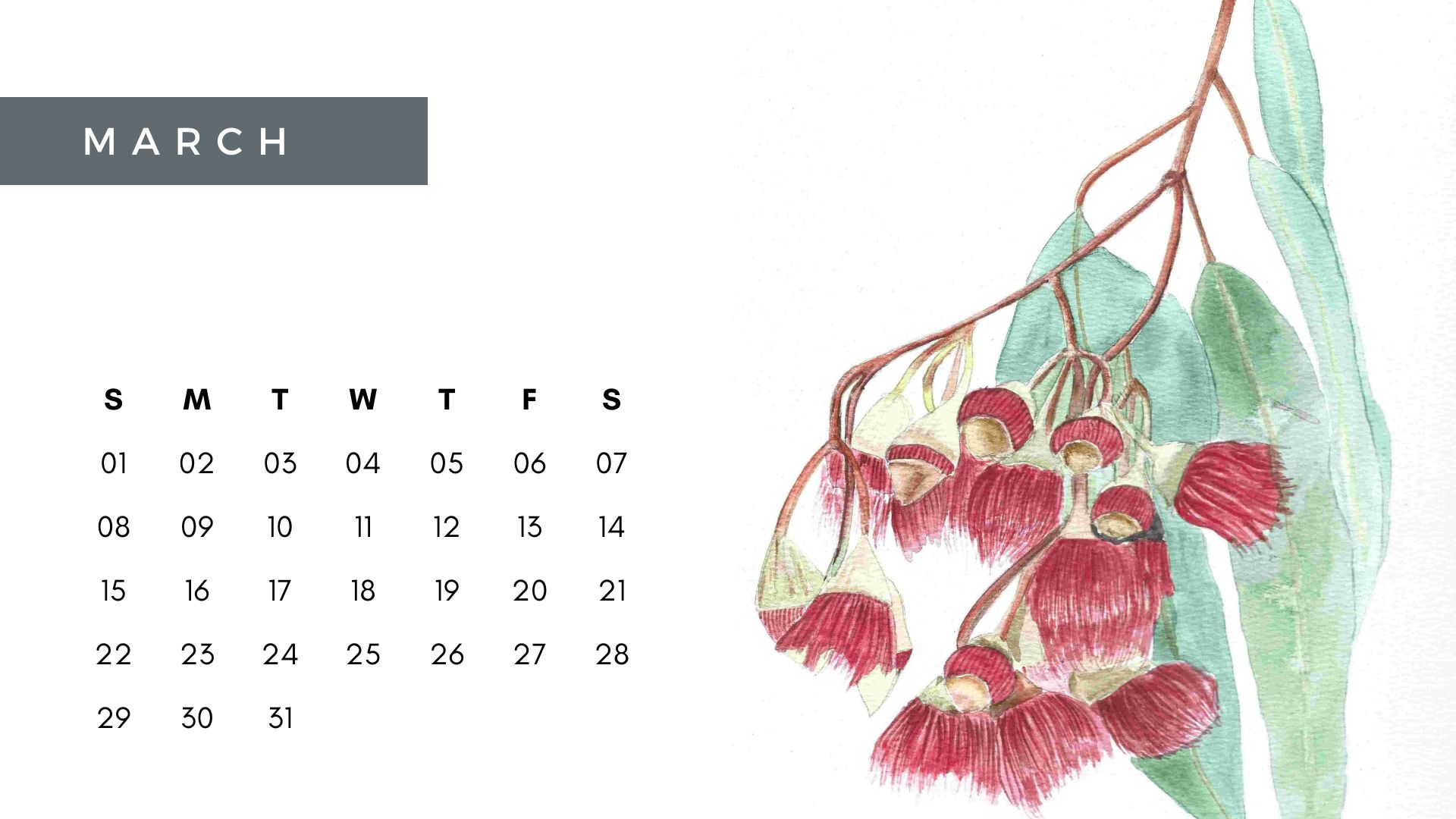 Floral Calendar 2025 - All Original Watercolor Paintings