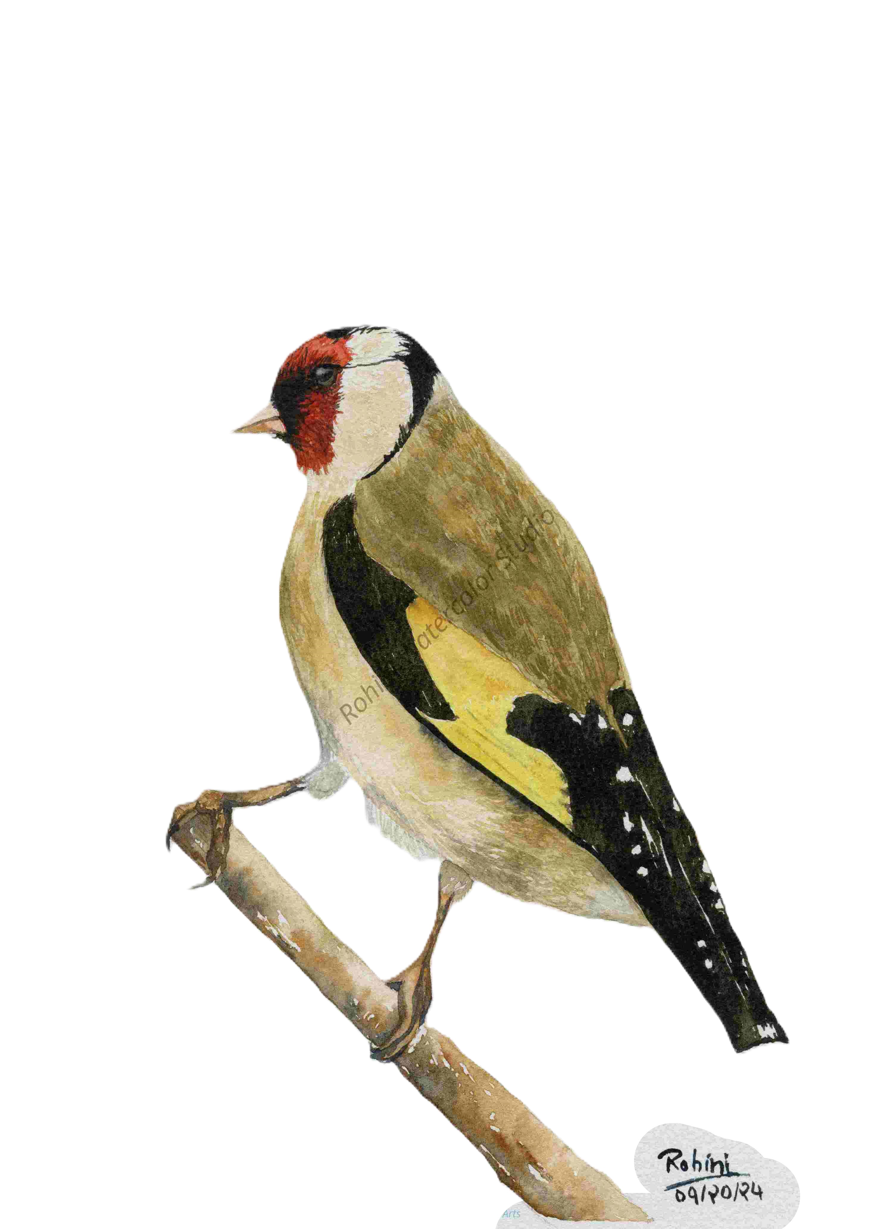 Watercolor Art Gift Card