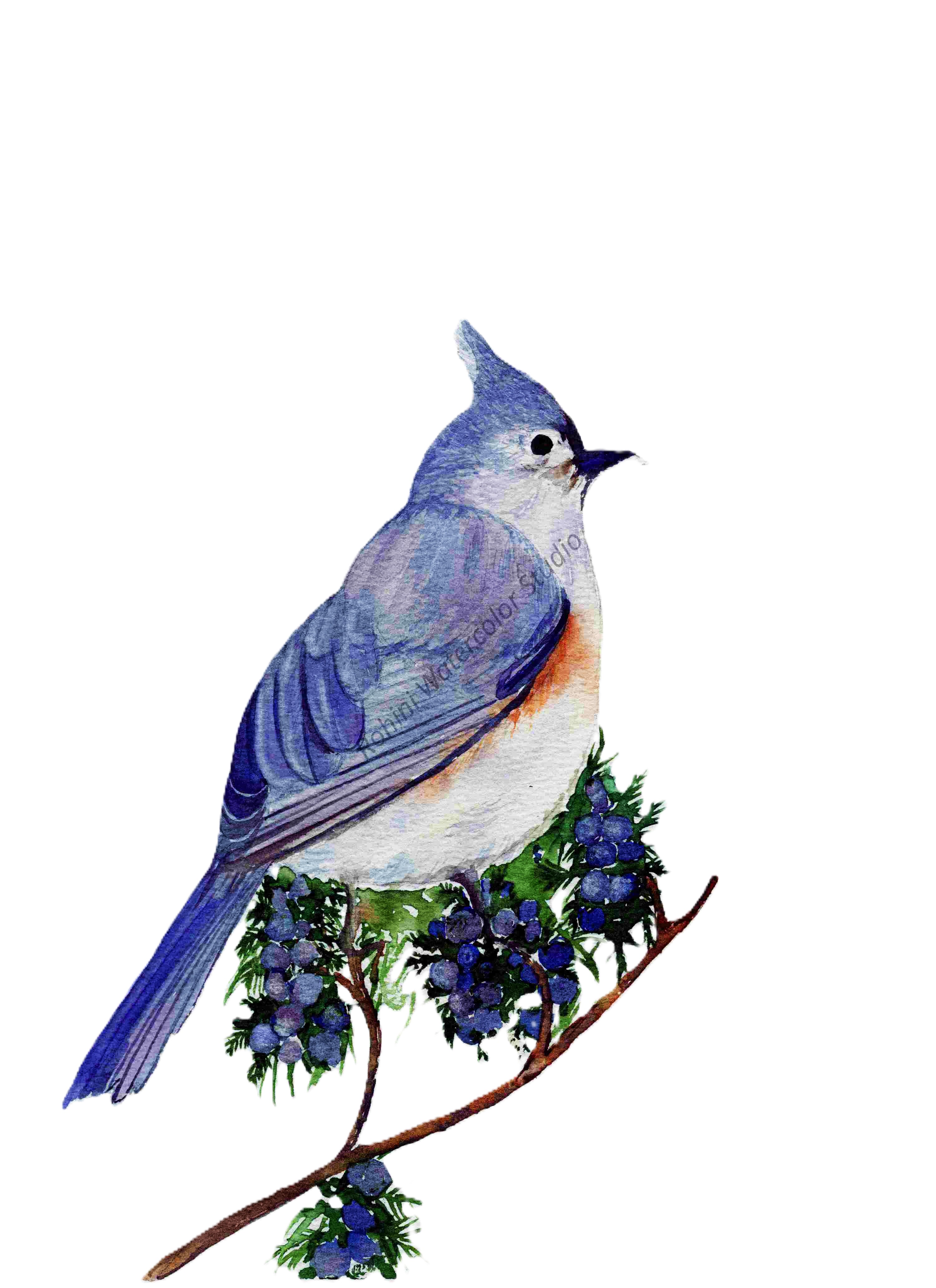 Watercolor Art Gift Card