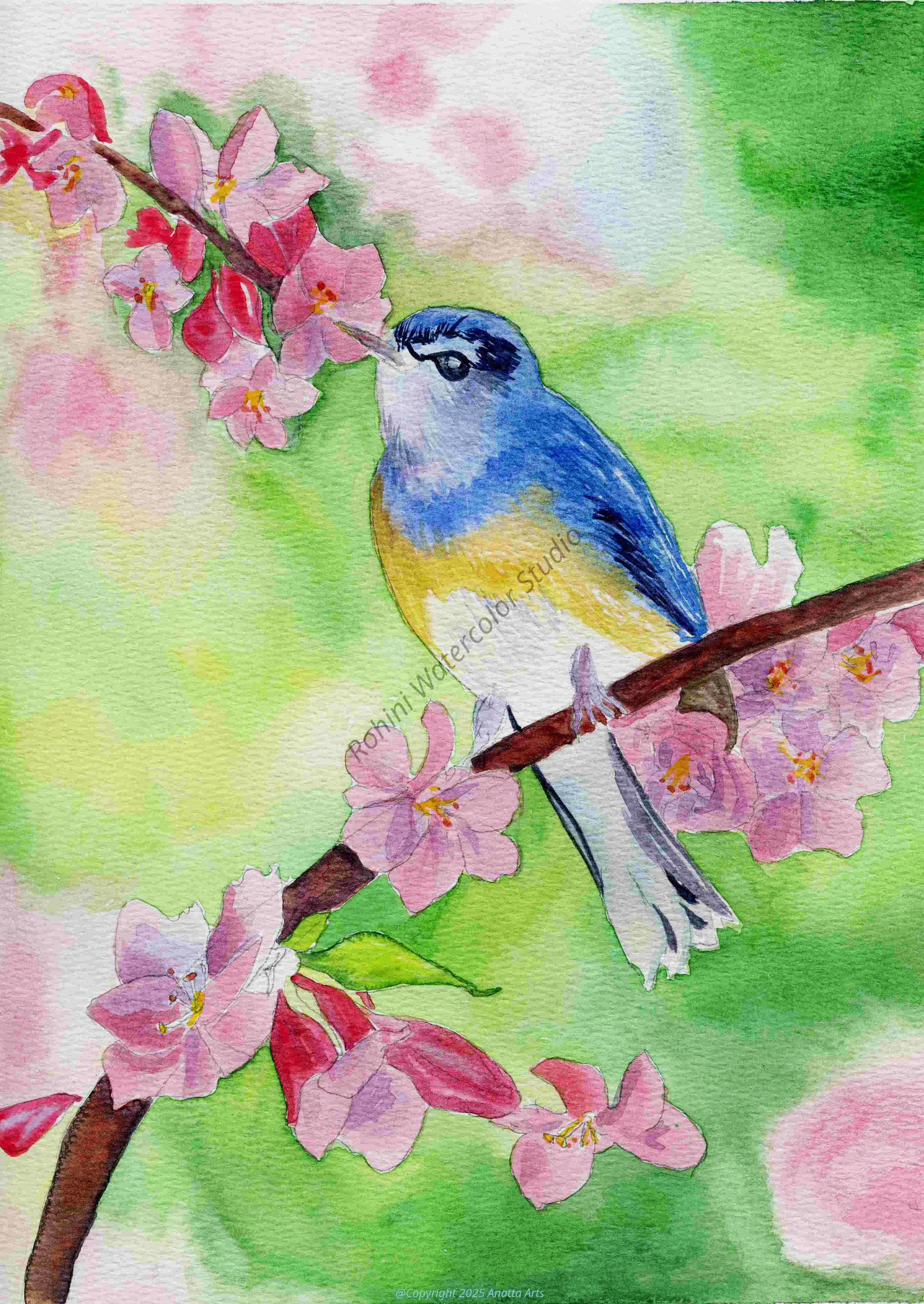 Watercolor Art Gift Card