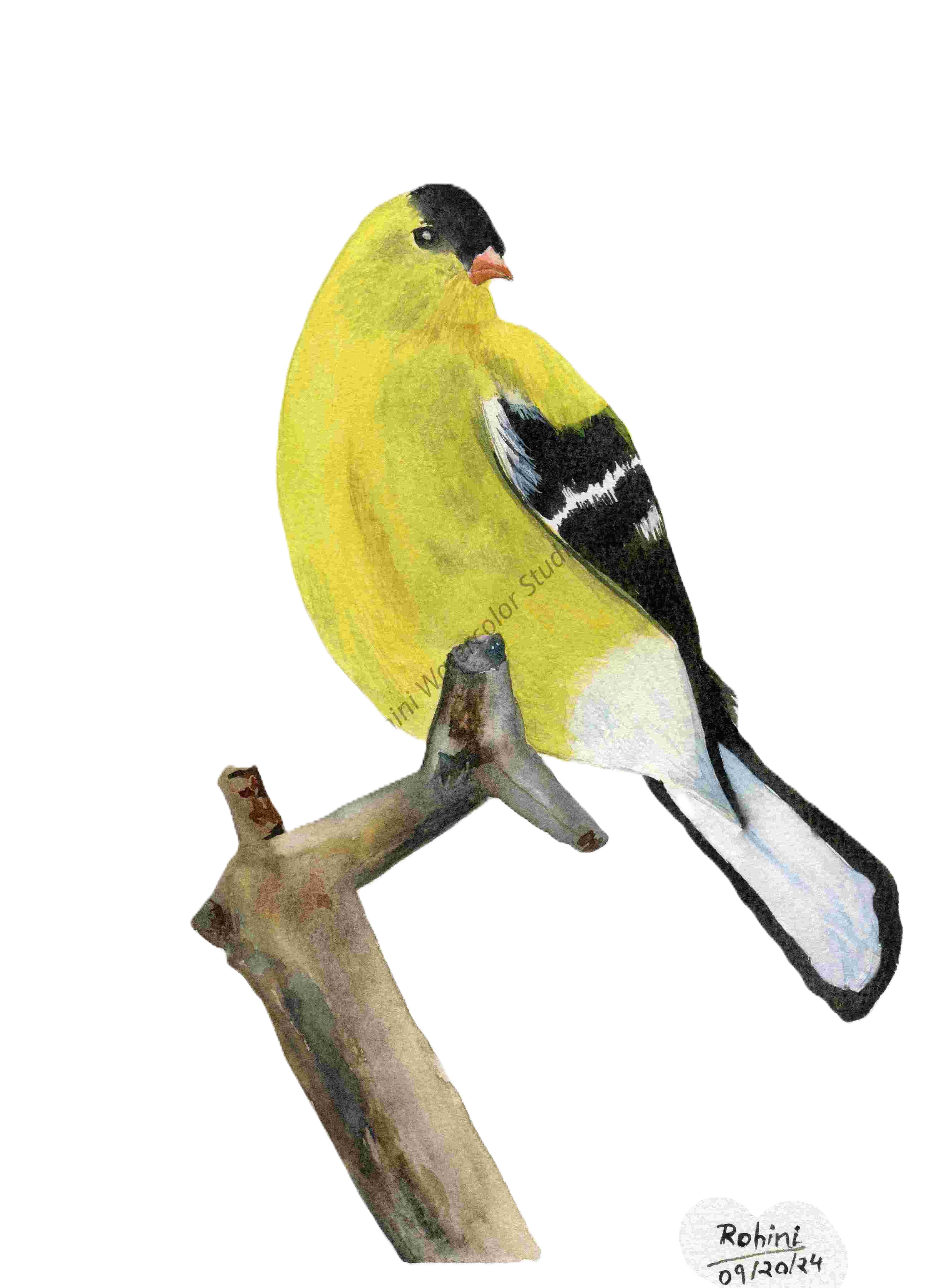 Watercolor Art Gift Card