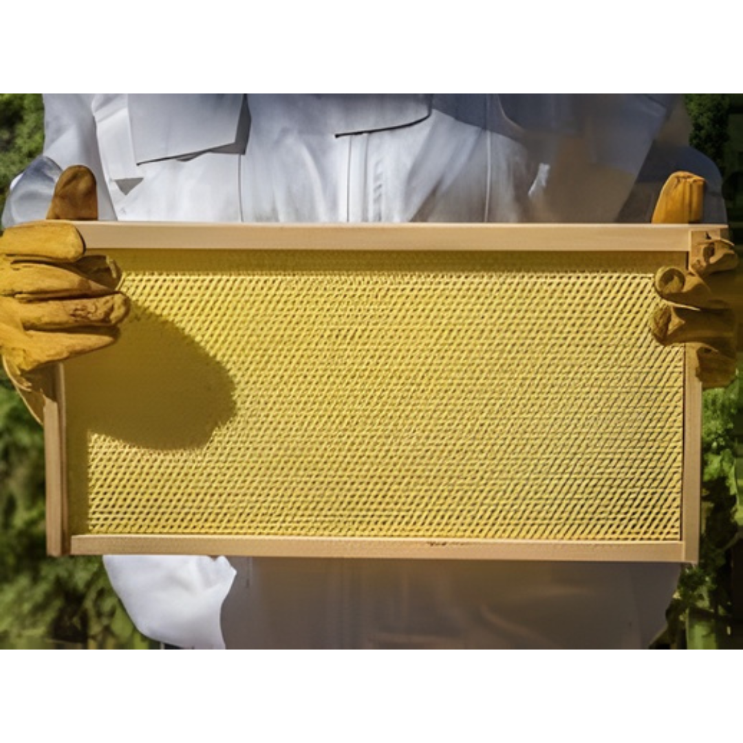 Langstroth Beeswax Foundation