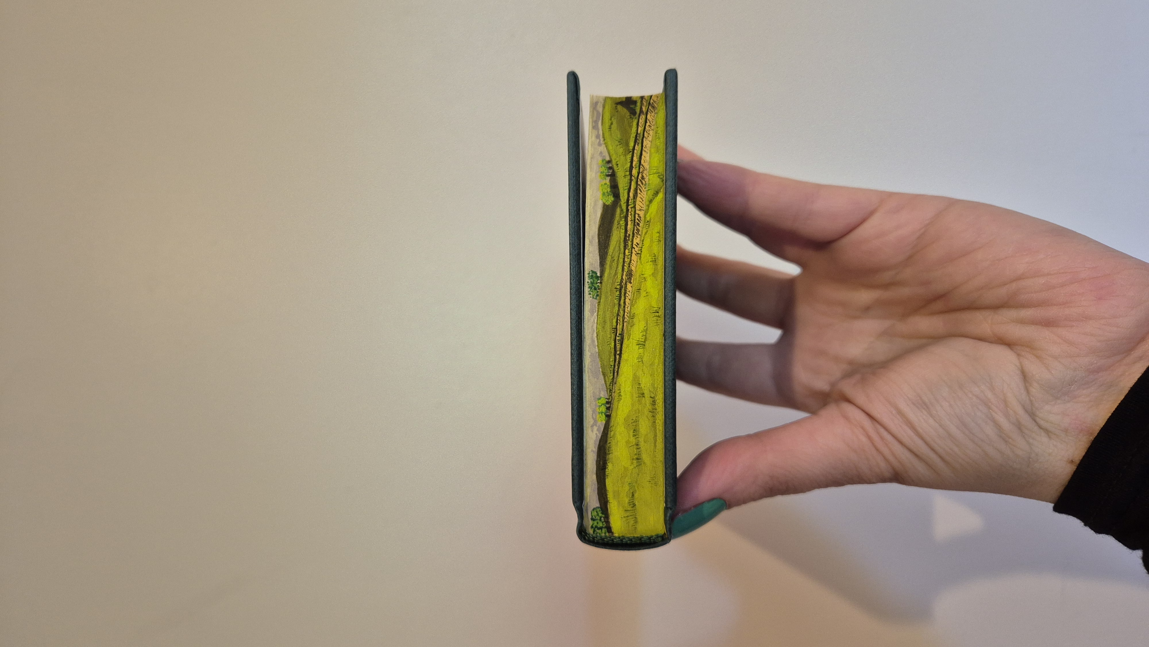 Pocket hobbit book