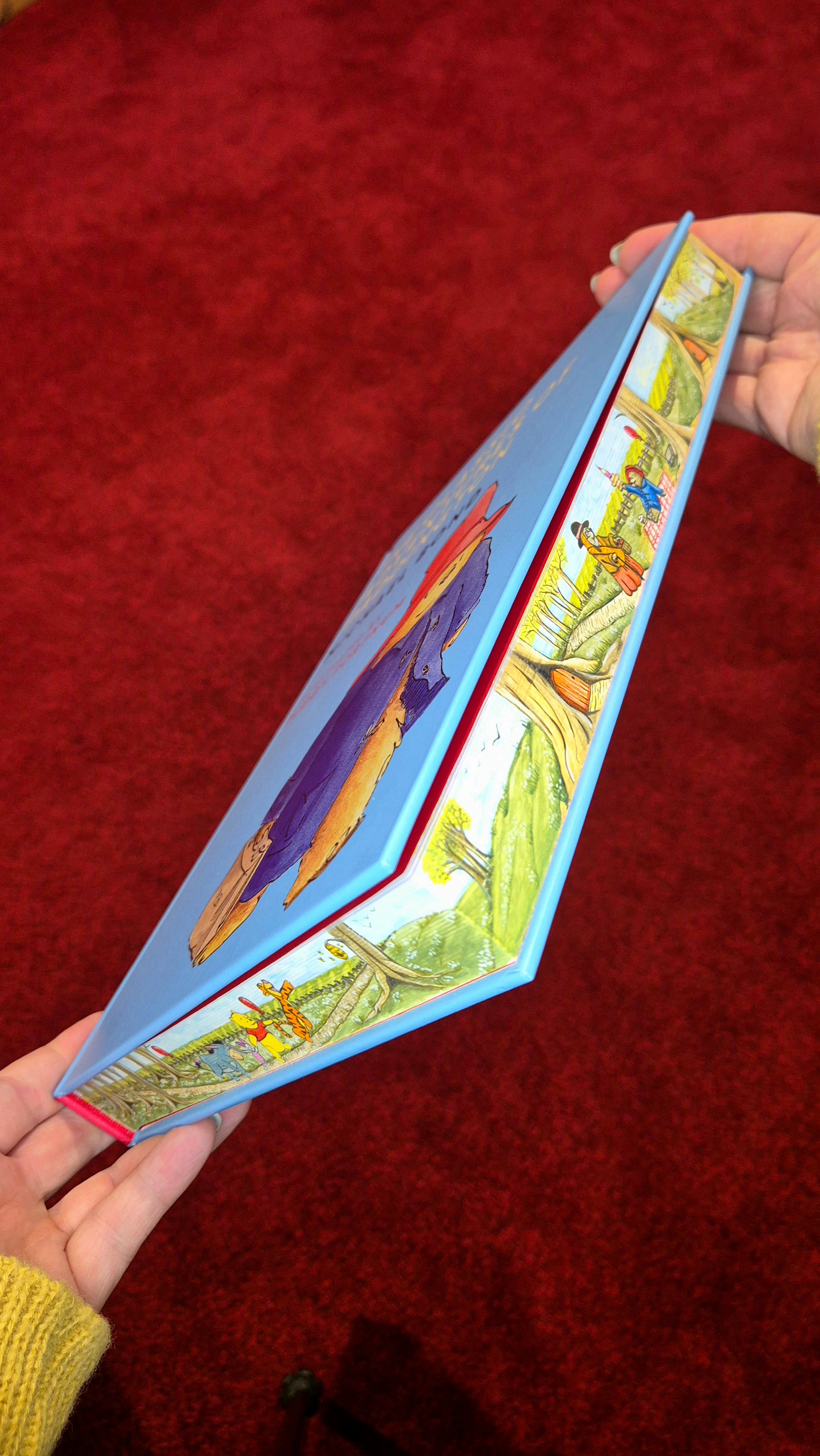 Custom Fore-edge painting 