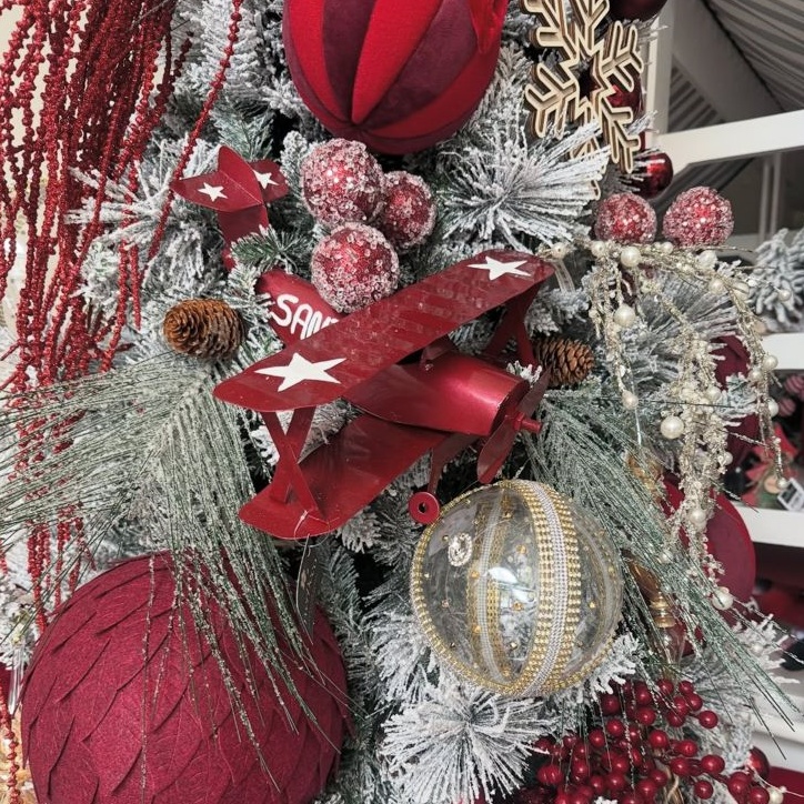 Avioneta HoHoHo