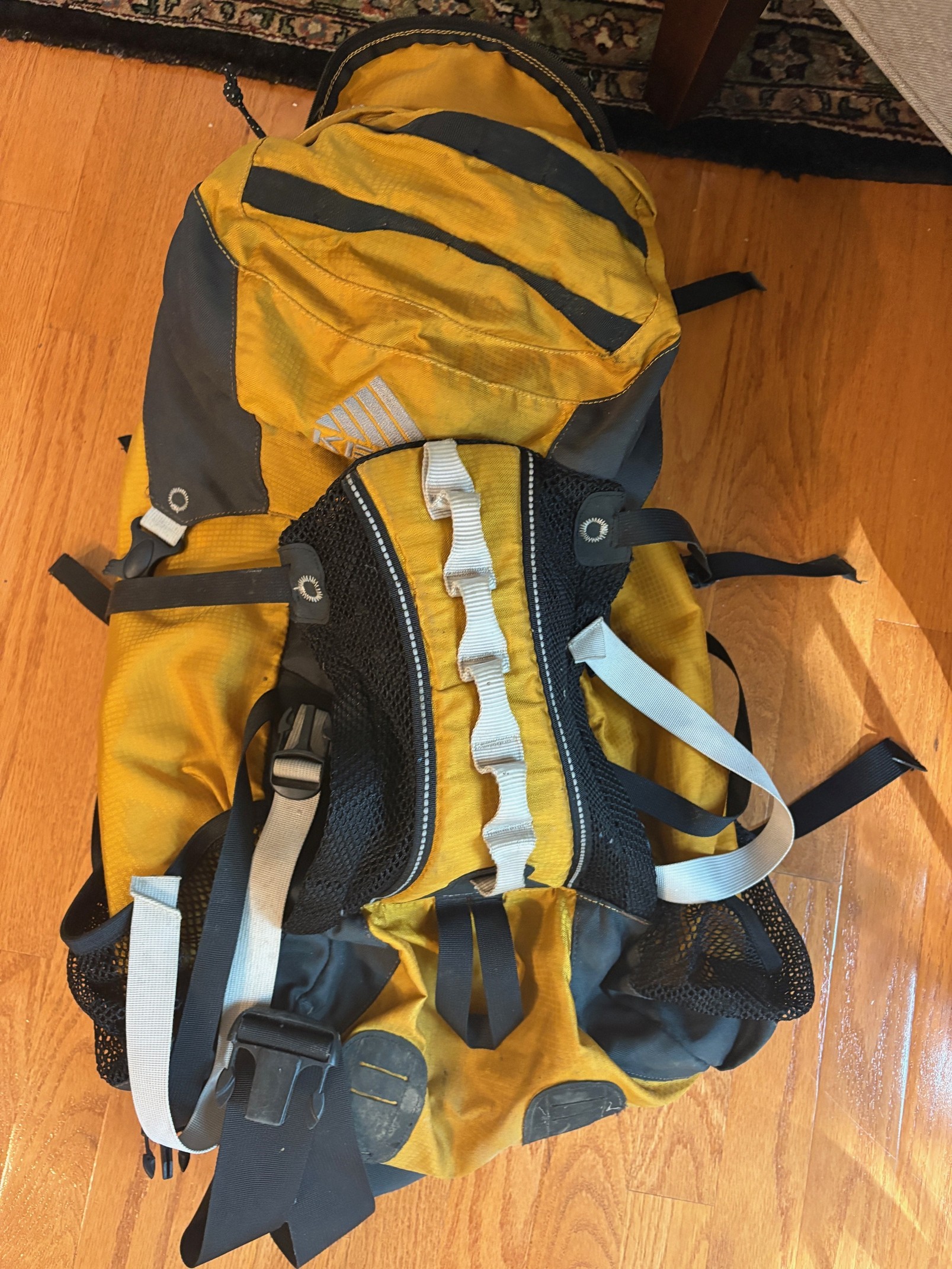 Backpacking pack
