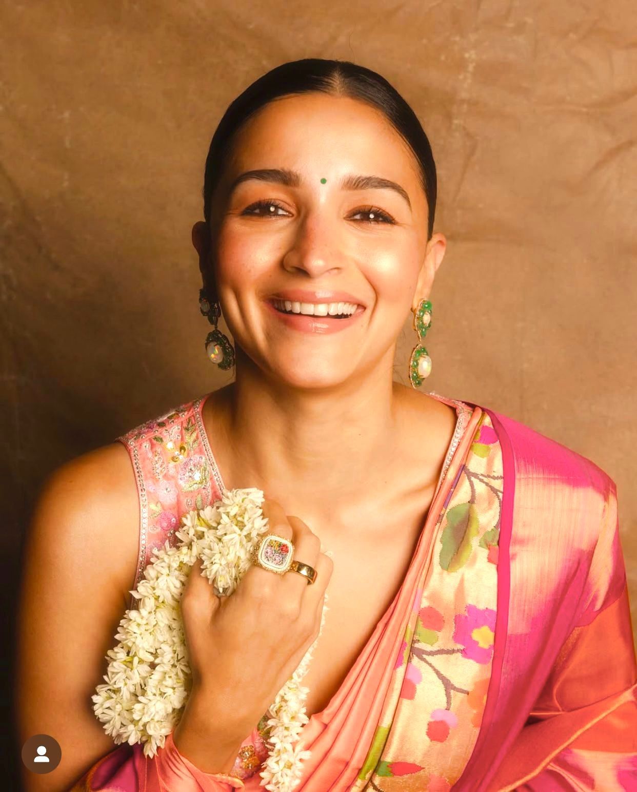 Skirt Border Paithani 