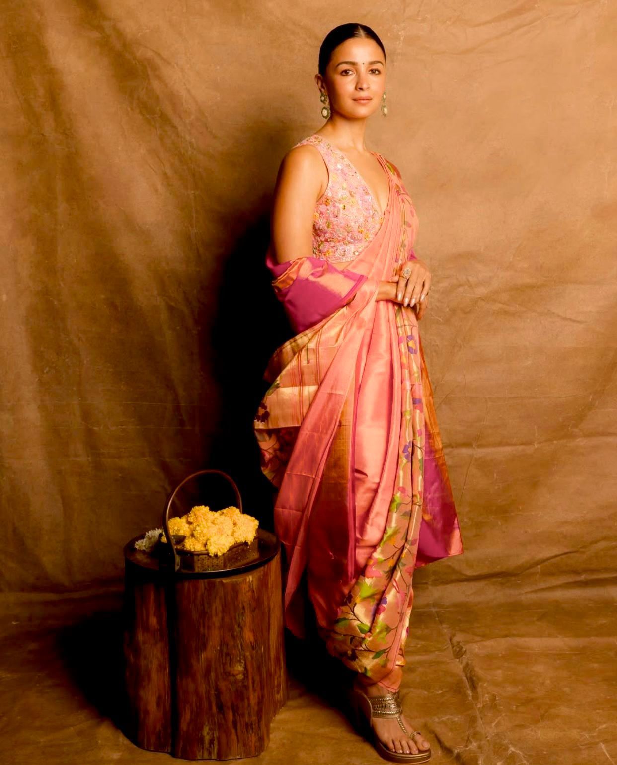 Skirt Border Paithani 