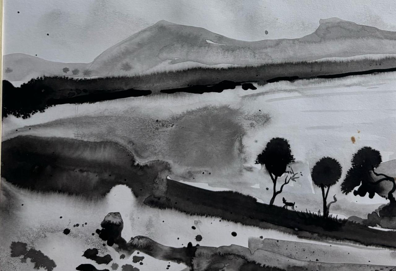 Echoes of the Grey Hills