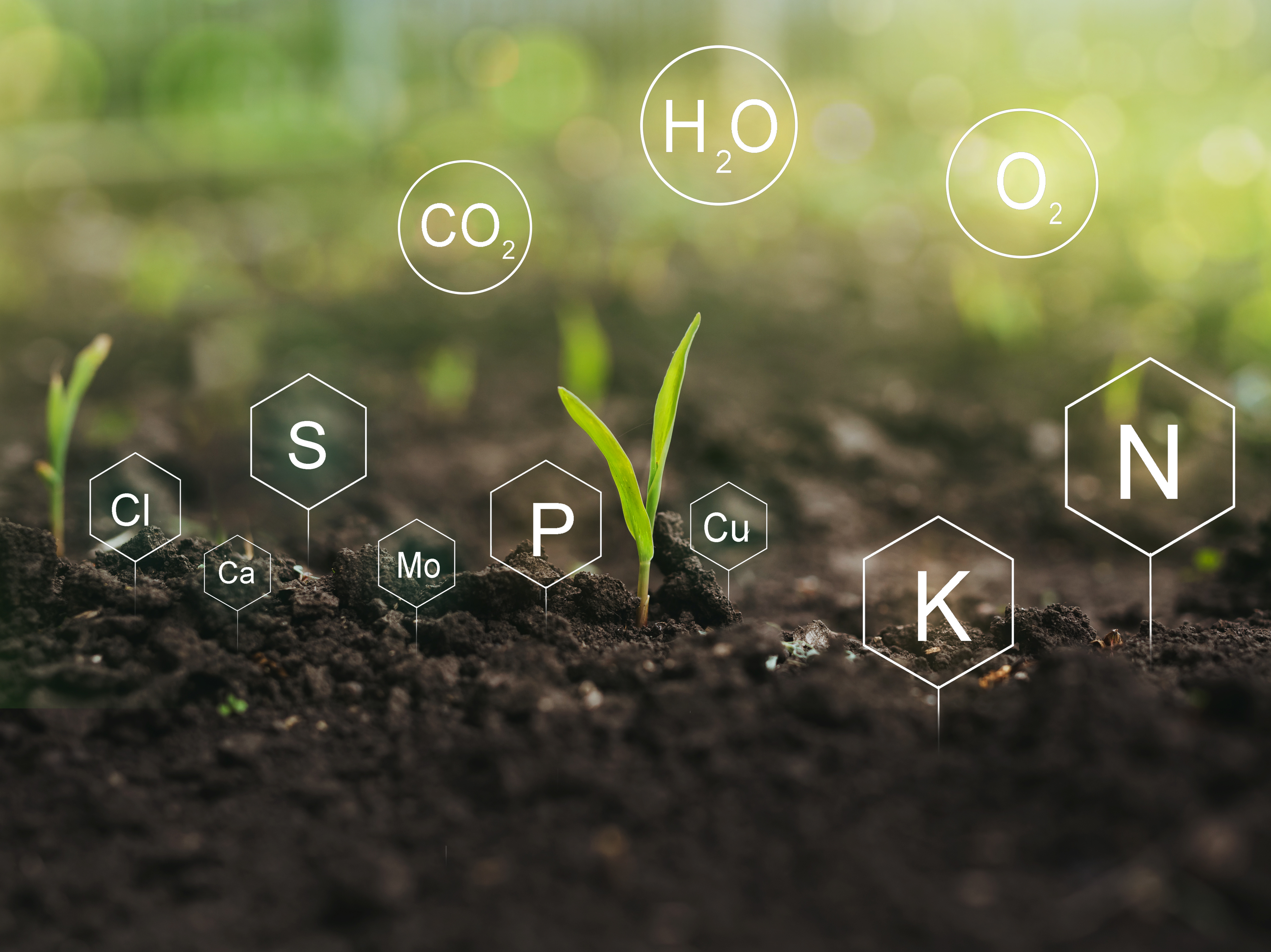 Organic Soil Nutrient Mix
