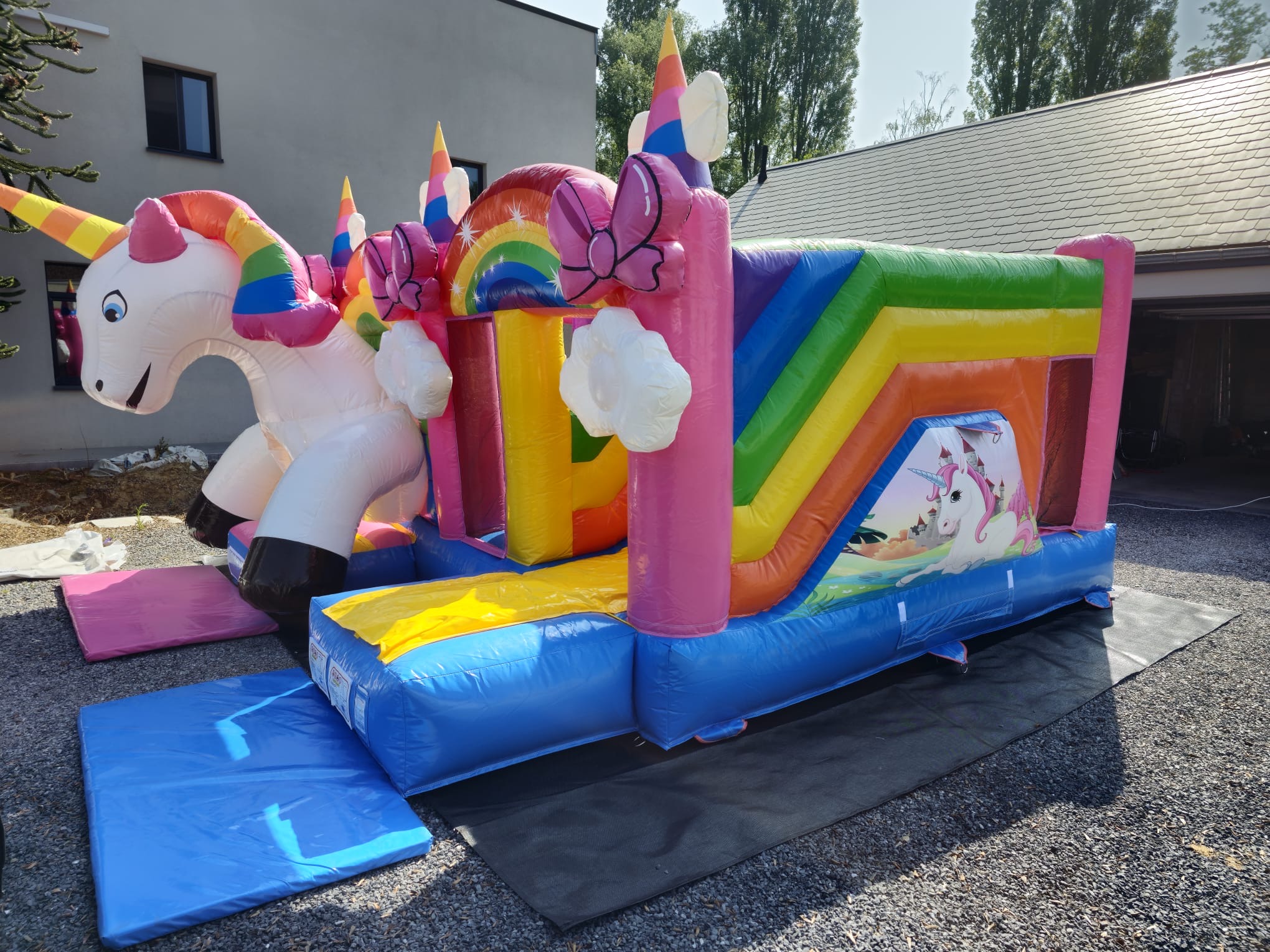 Licorne
