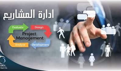 The Integrated Project Management Program
