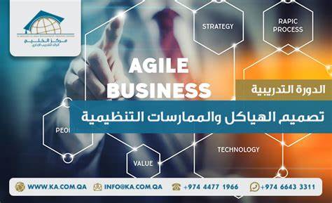 Coordination and Management of Programs, Activities, and Organizational Protocols