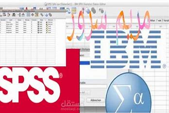 Controlling and Analyzing Large Amounts of Data Using SPSS