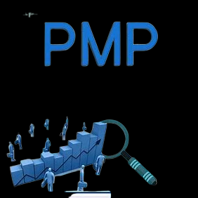 Professional Project Management