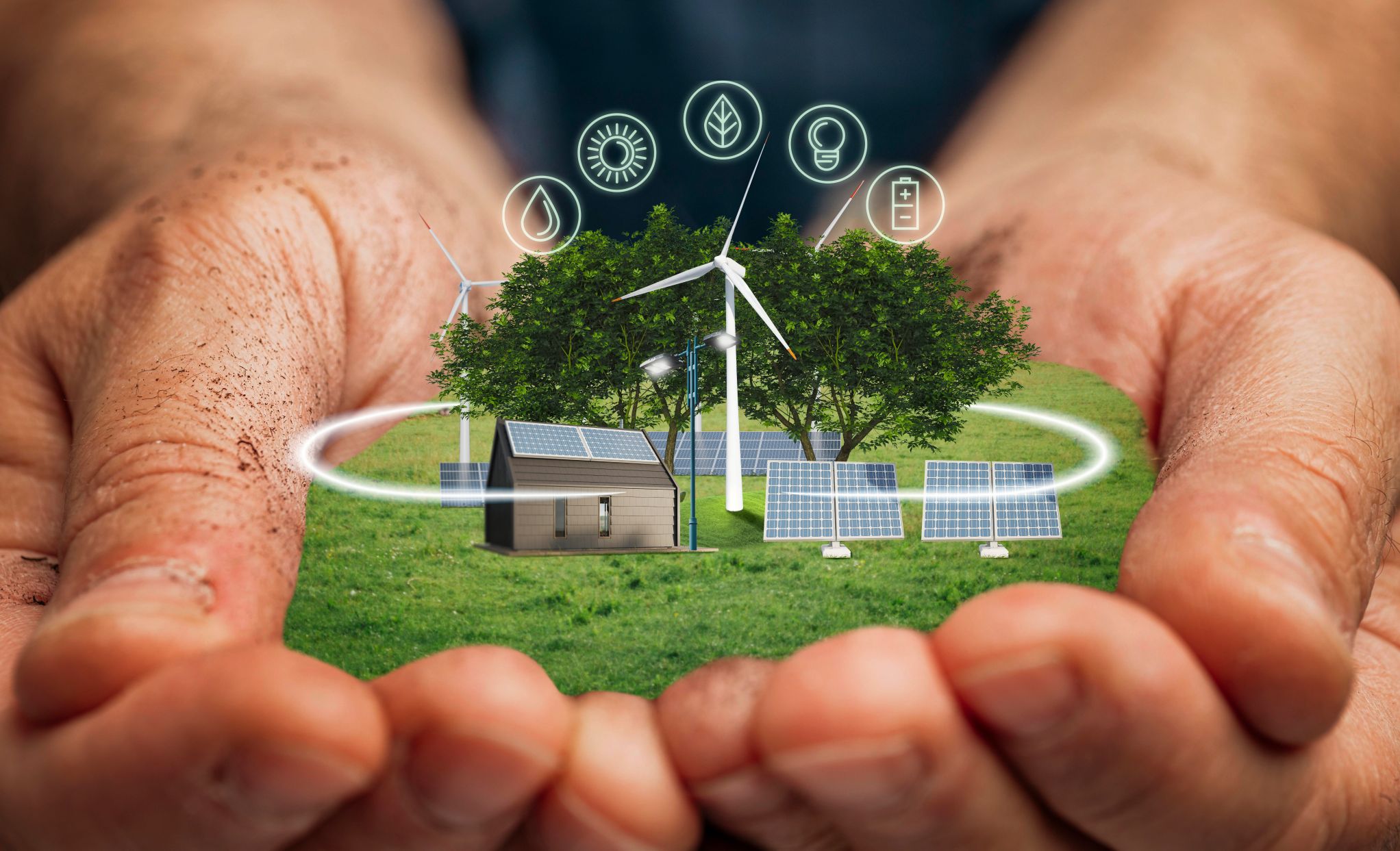 Renewable Energy Management & Sustainability