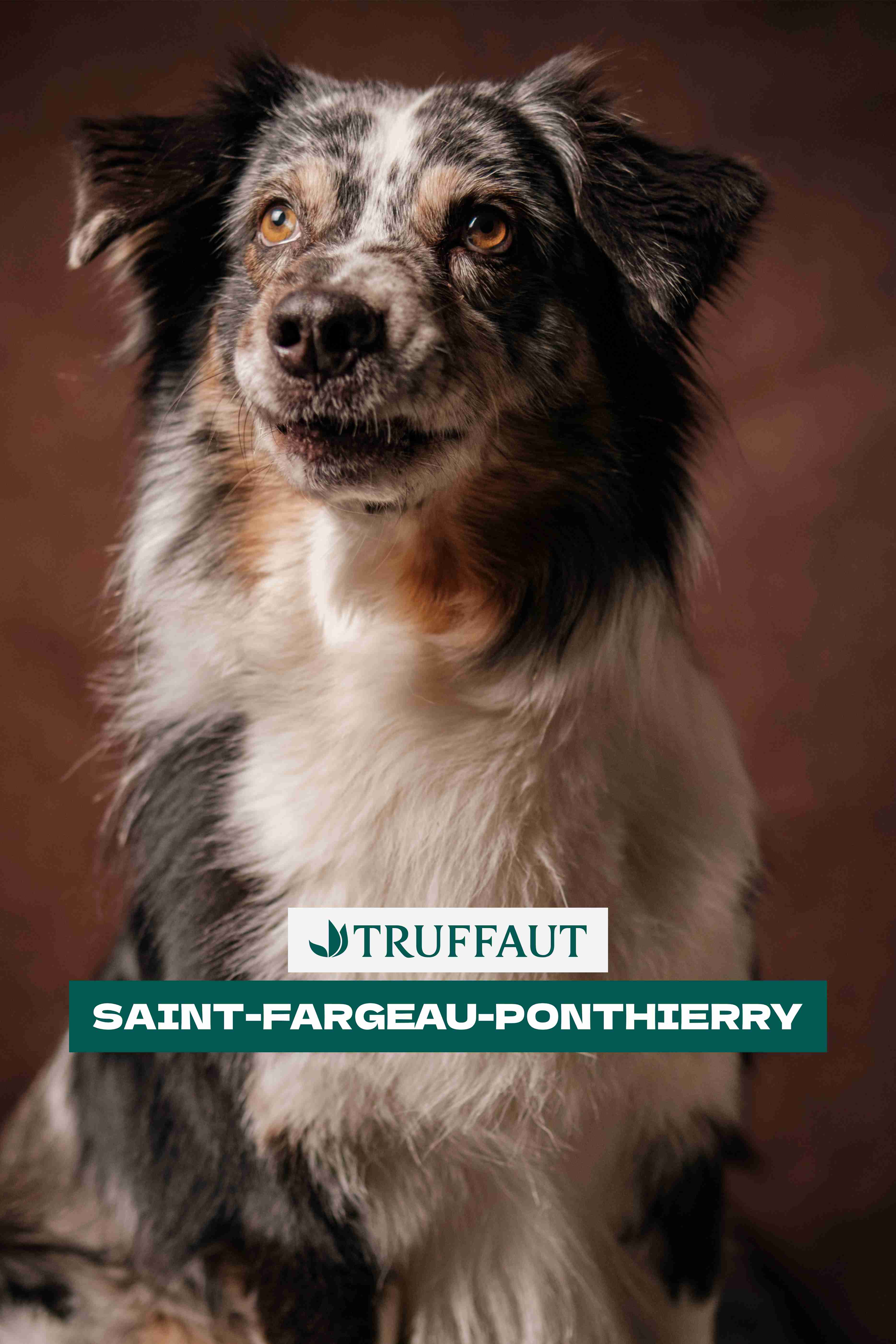 Truffaut Saint-Fargeau-Ponthierry
