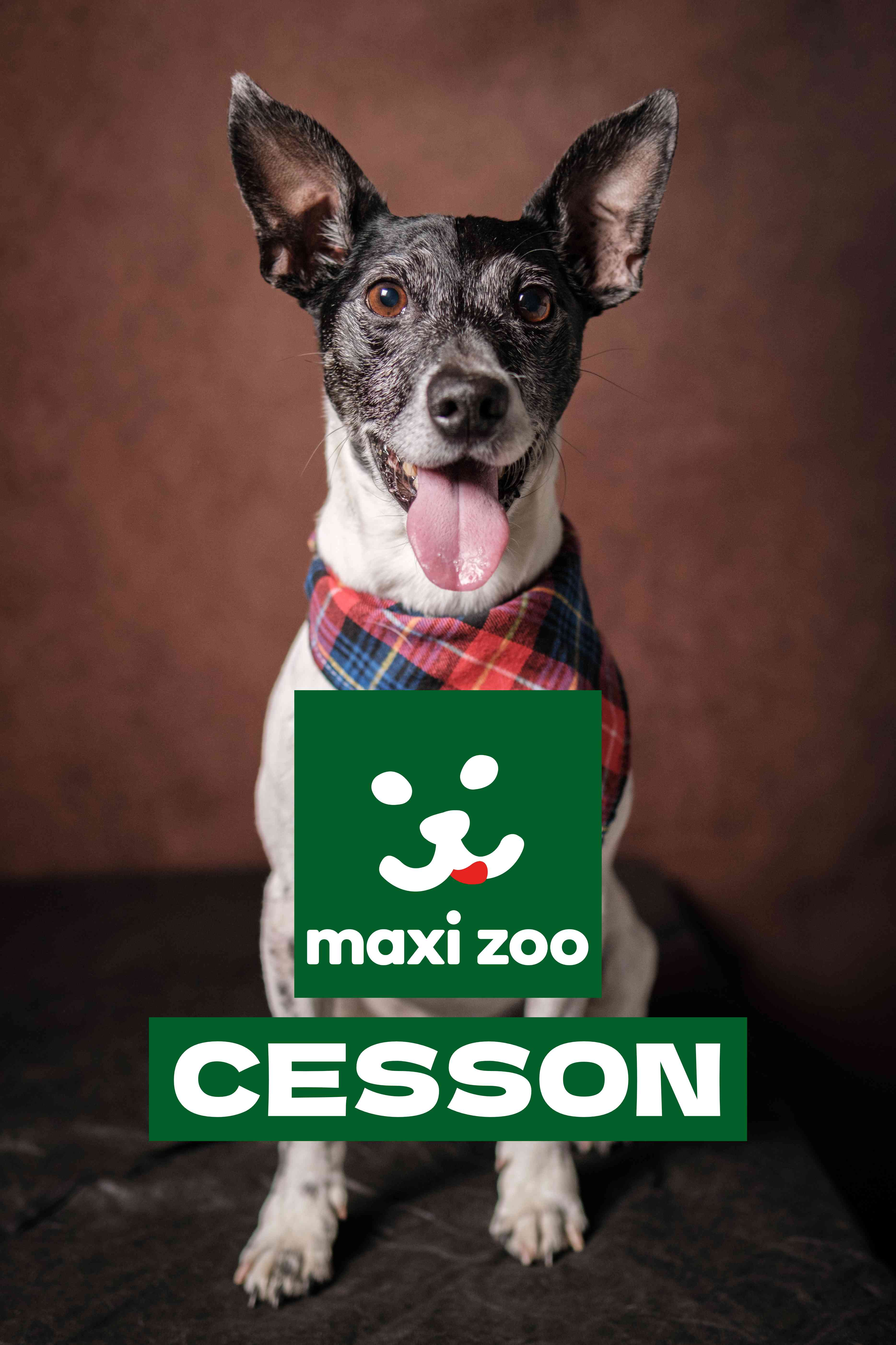 Maxi Zoo Cesson