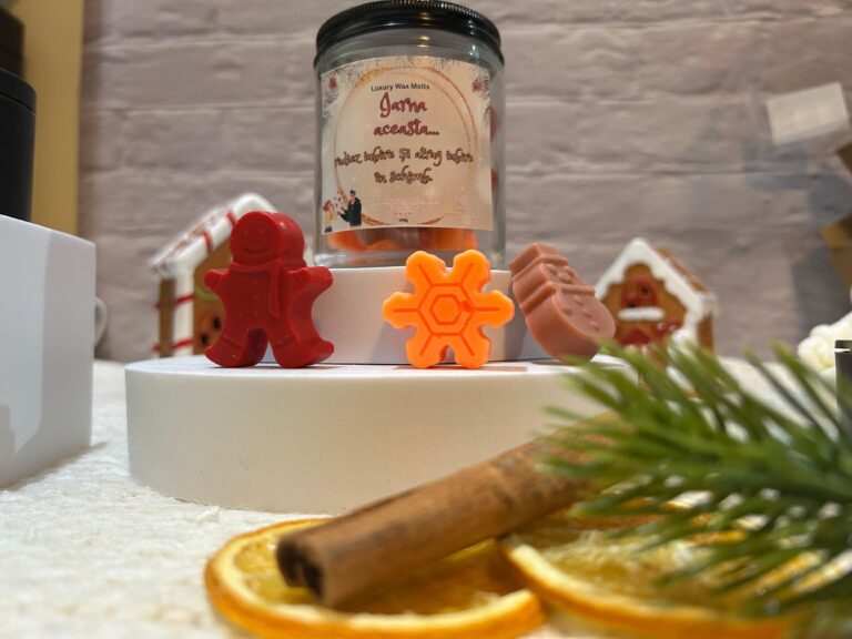 Wax melts Winter flavours 