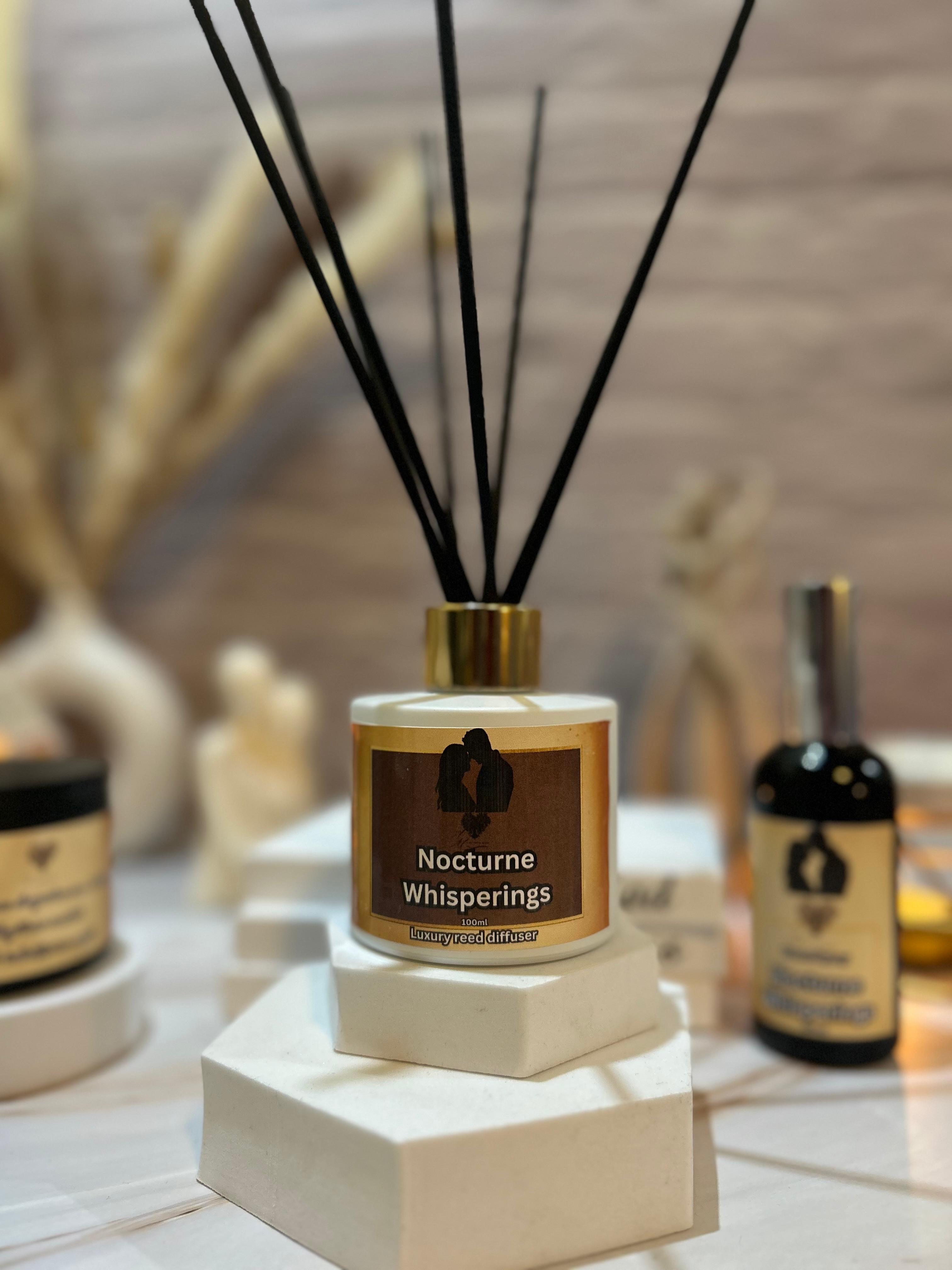 Odorizant de cameră cu bețișoare, Nocturne Whisperings, 100 ml