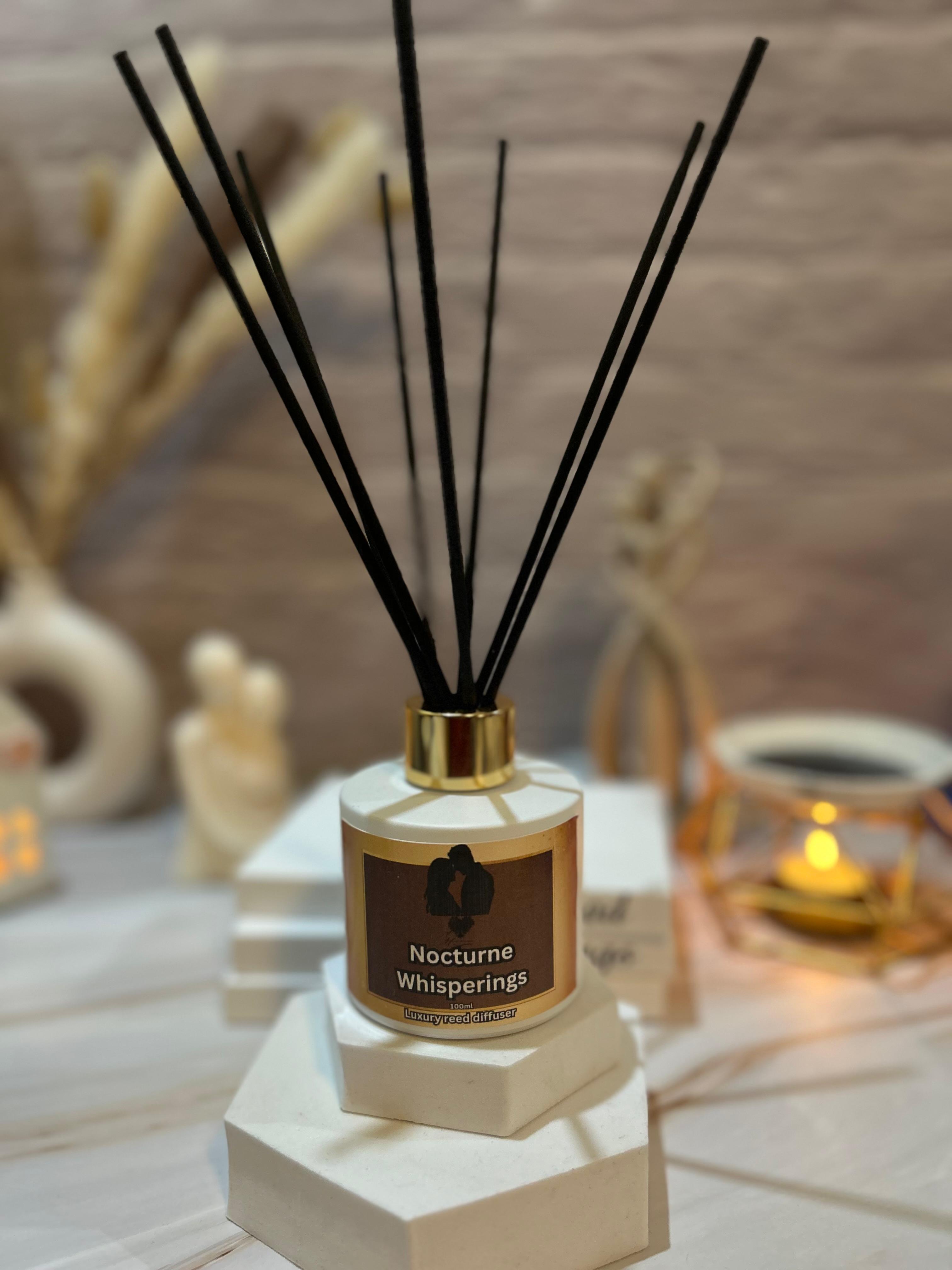 Odorizant de cameră cu bețișoare, Nocturne Whisperings, 100 ml