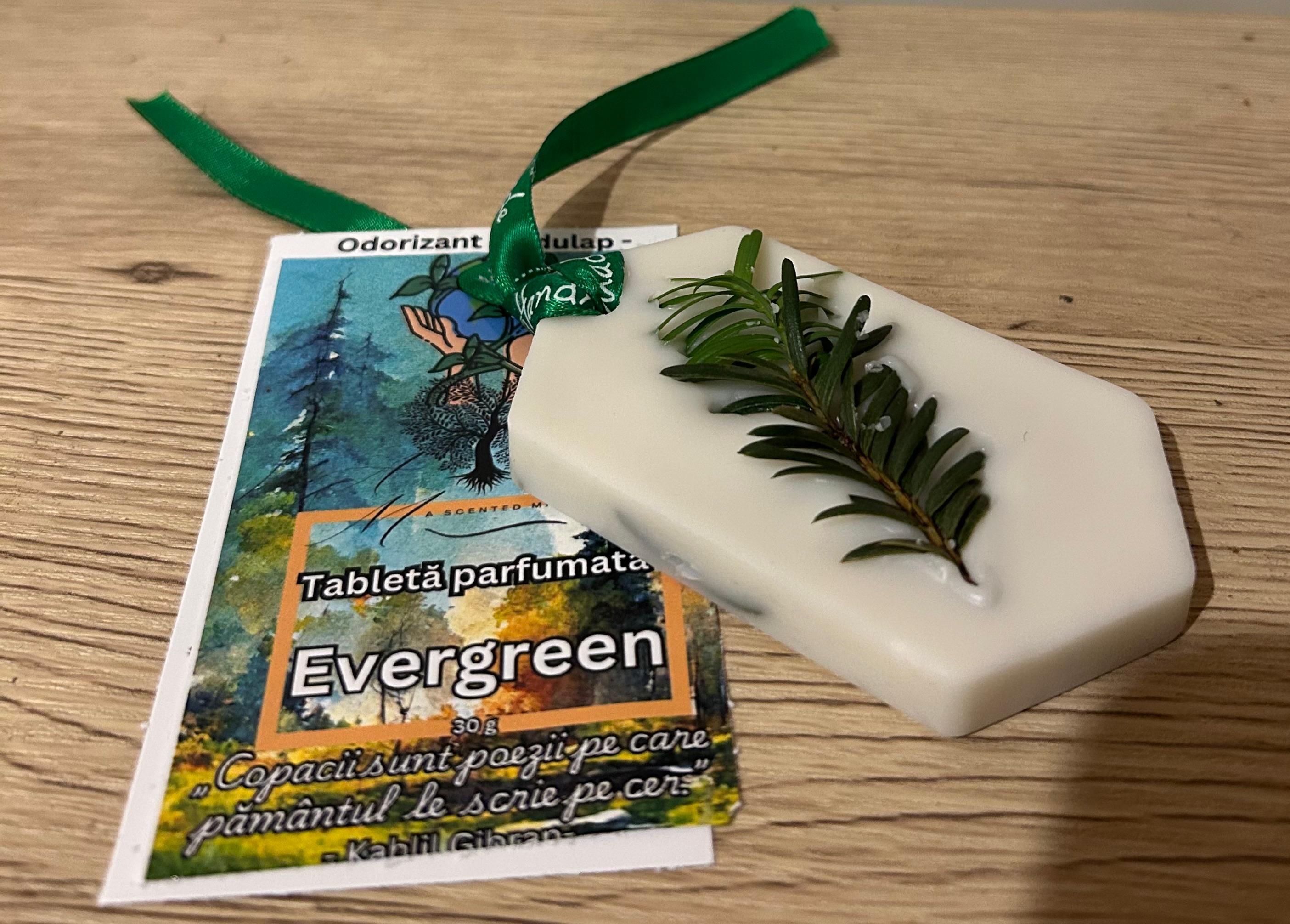 Tabletă parfumată Evergreen - brad,pin,cedru 30 g