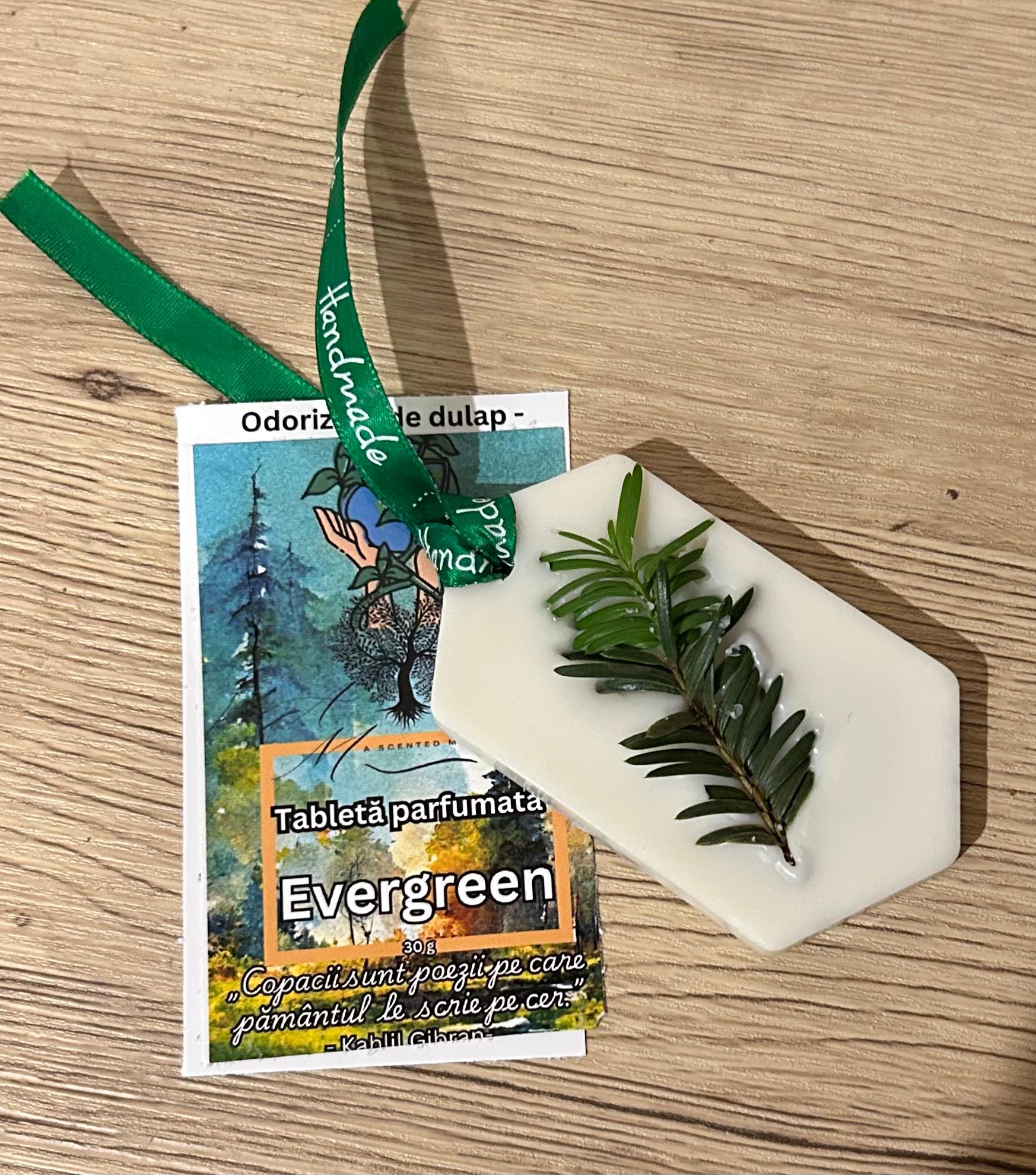 Tabletă parfumată Evergreen - brad,pin,cedru 30 g