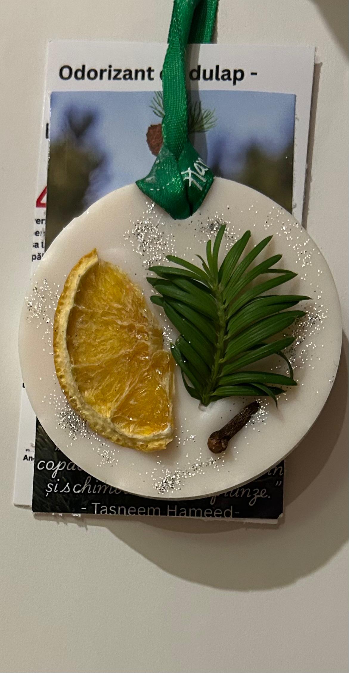 Tabletă parfumată Pinewood - pin, cuisoare,portocala 30 g