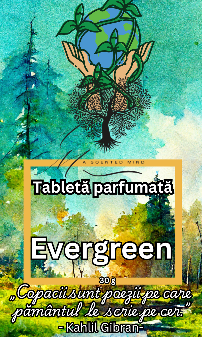 Tabletă parfumată Evergreen - brad,pin,cedru 30 g