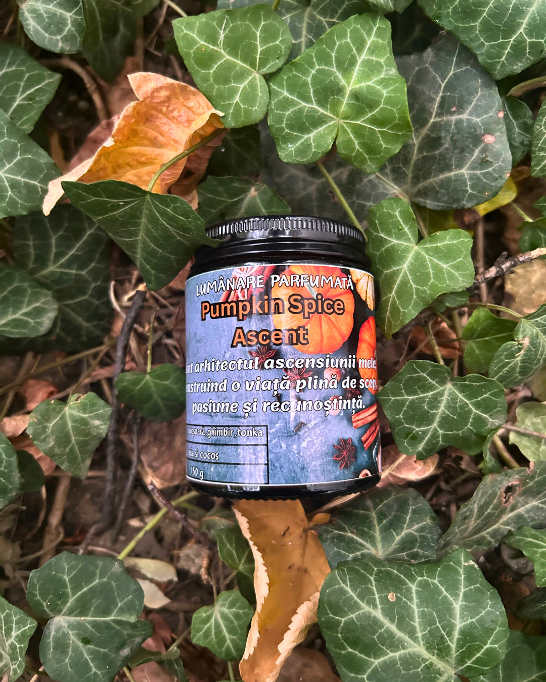Lumânare parfumată "Pumpkin Spice Ascent"- nucșoară,ghimbir,tonka-150g