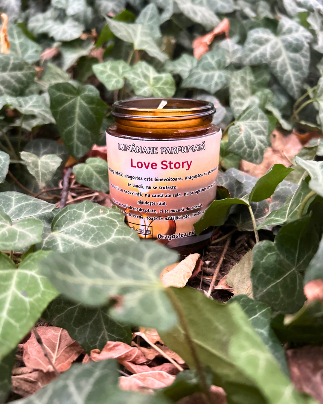 Lumânare parfumată "Love Story"- rubarbă,căpșuni,cedru-150g