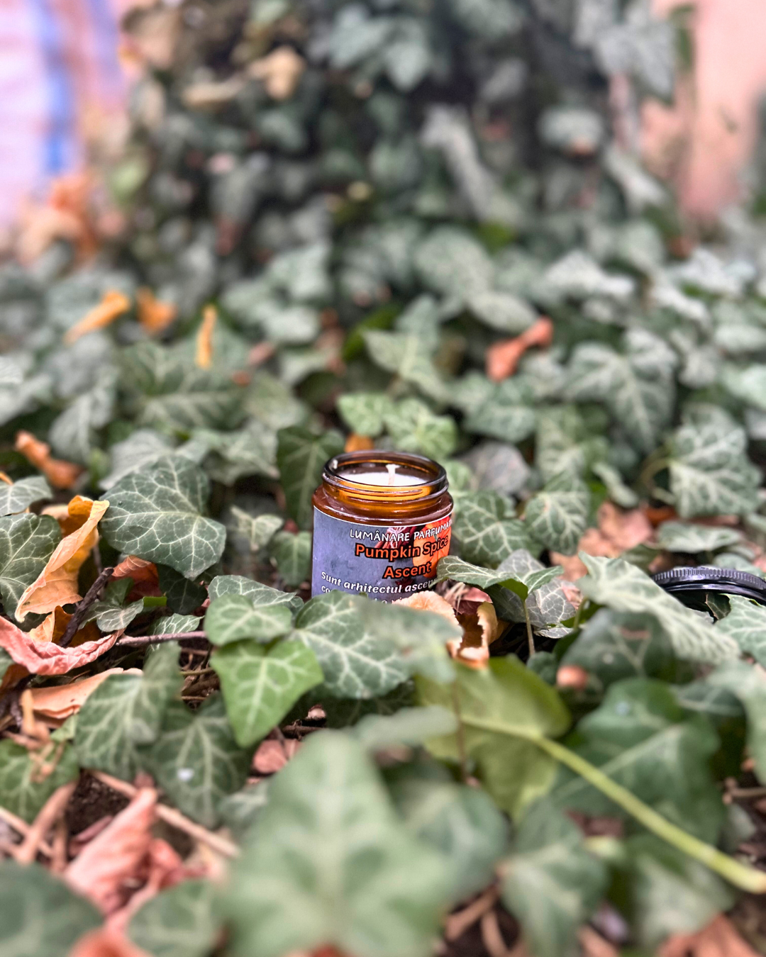 Lumânare parfumată "Pumpkin Spice Ascent"- nucșoară,ghimbir,tonka-150g