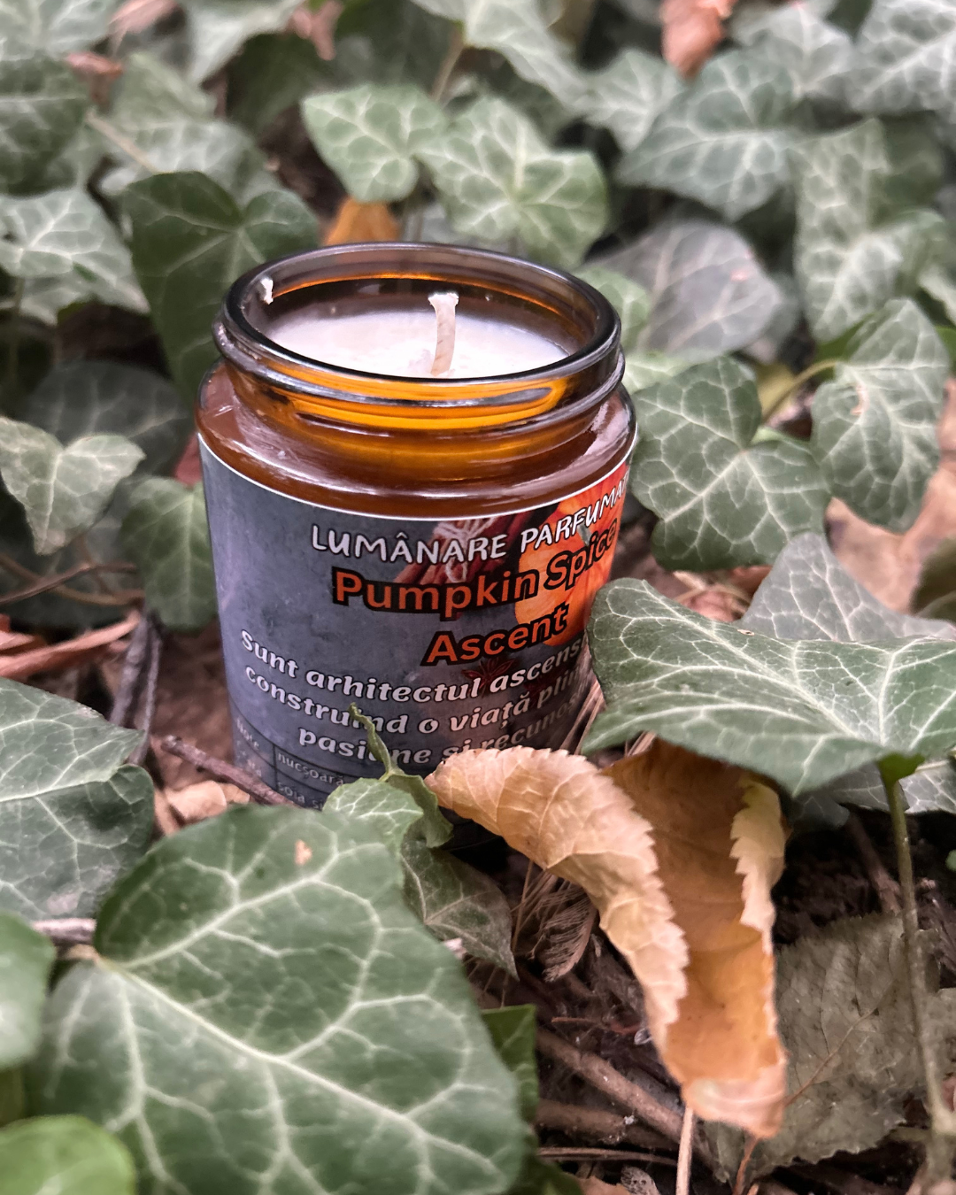Lumânare parfumată "Pumpkin Spice Ascent"- nucșoară,ghimbir,tonka-150g
