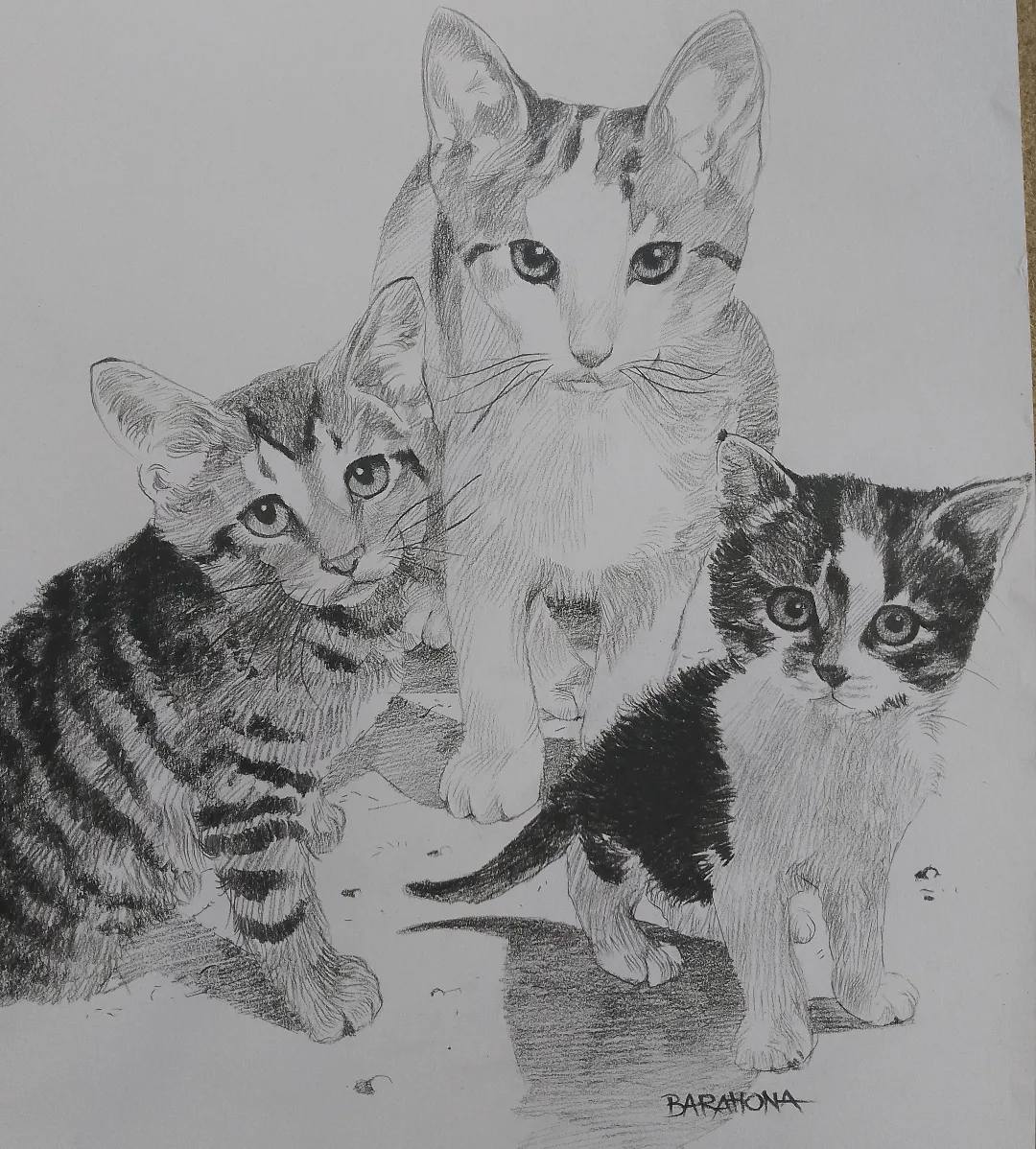 Retrato de mascotas en carboncillo o lápiz