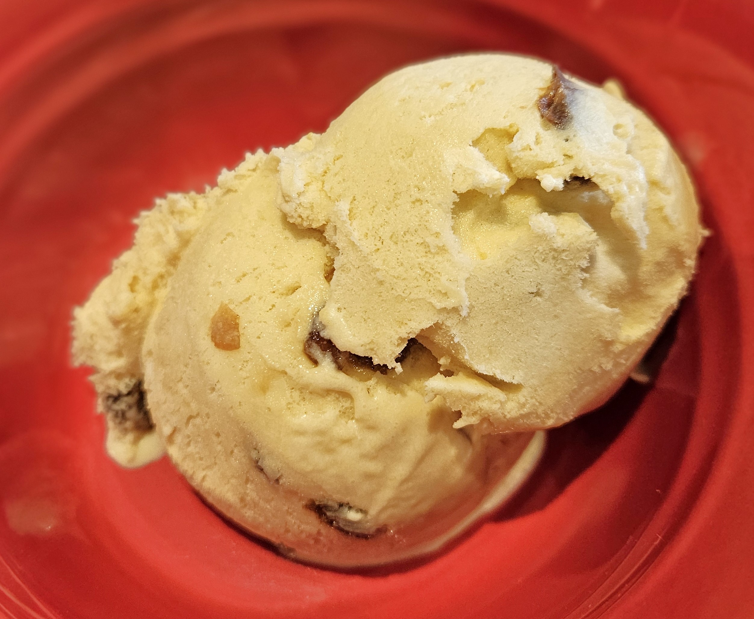 Pumpkin Rum Raisin Ice Cream