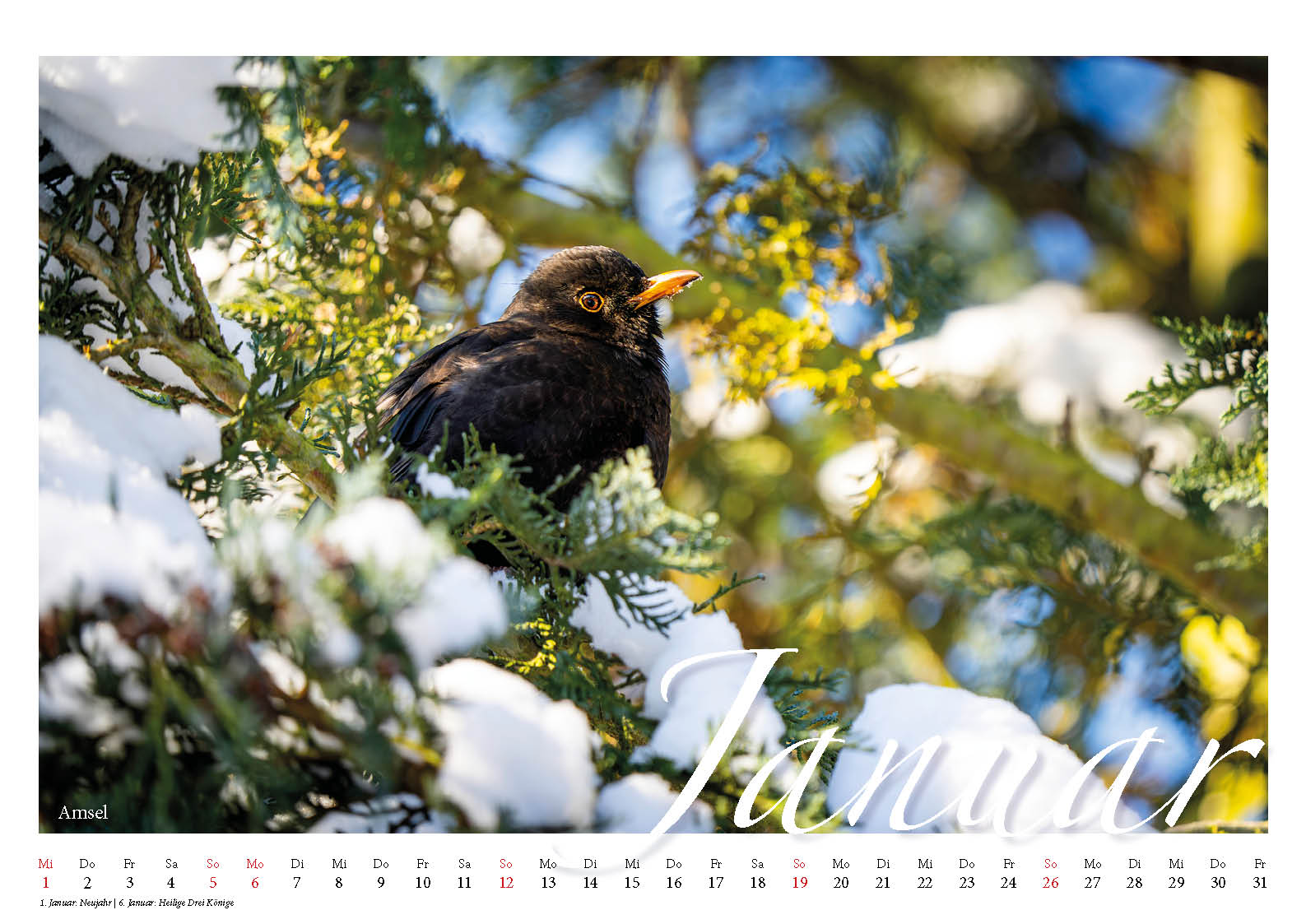 Fotokalender Tiere in unseren Gärten DIN A3