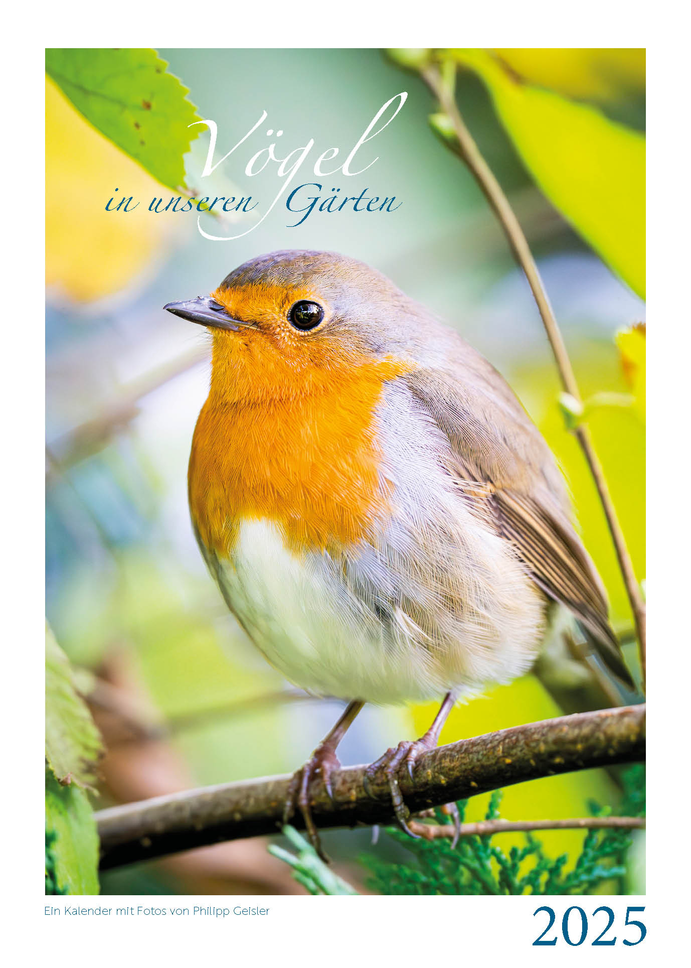 Fotokalender Vögel in unseren Gärten