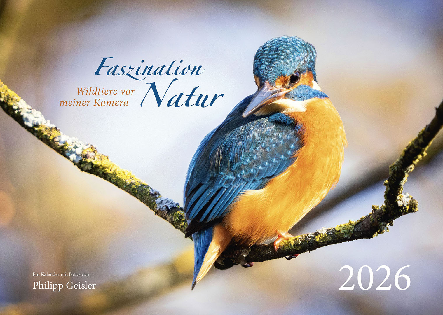 Faszination Natur - Wildtiere vor meiner Kamera