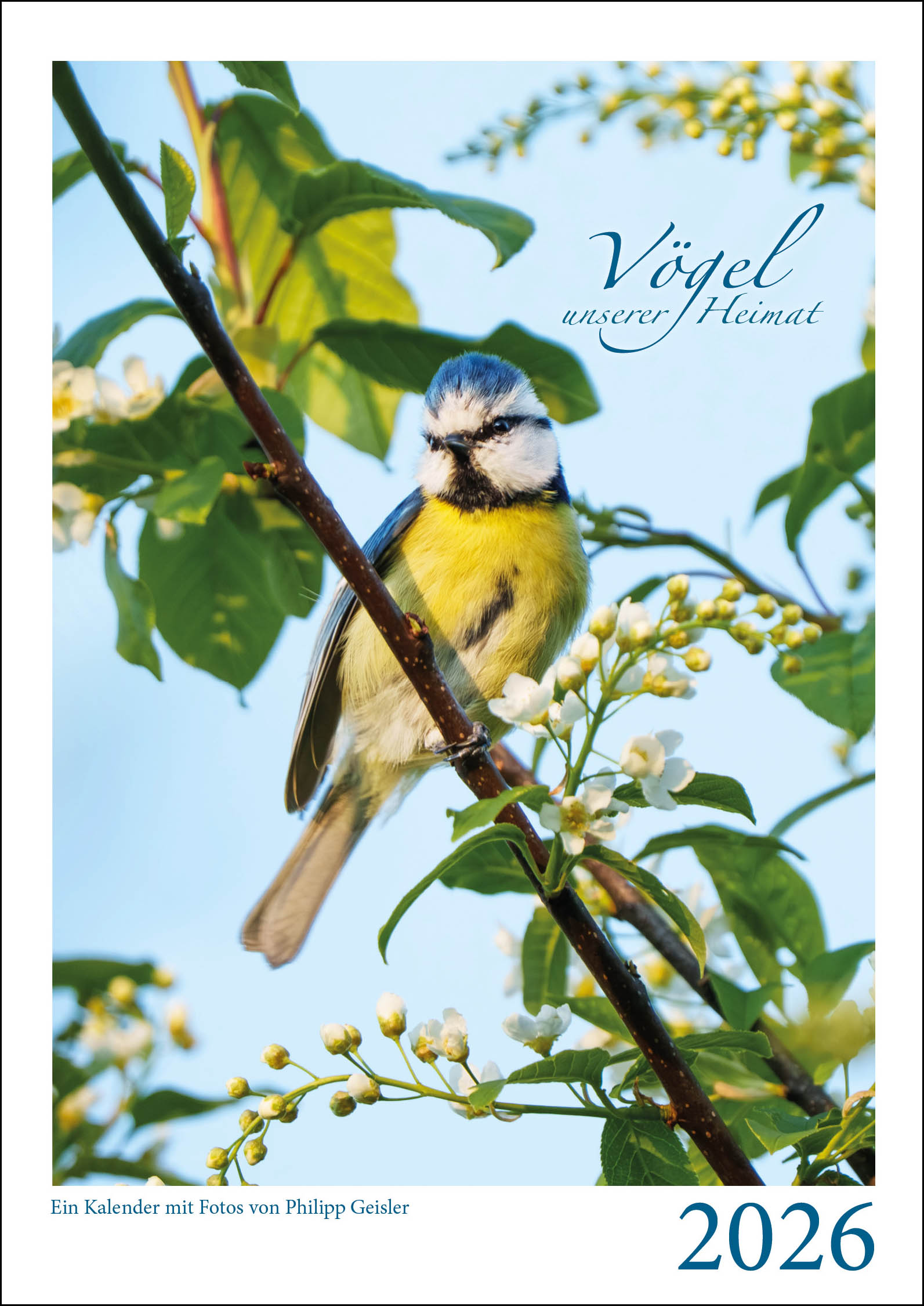 Vögel unserer Heimat 