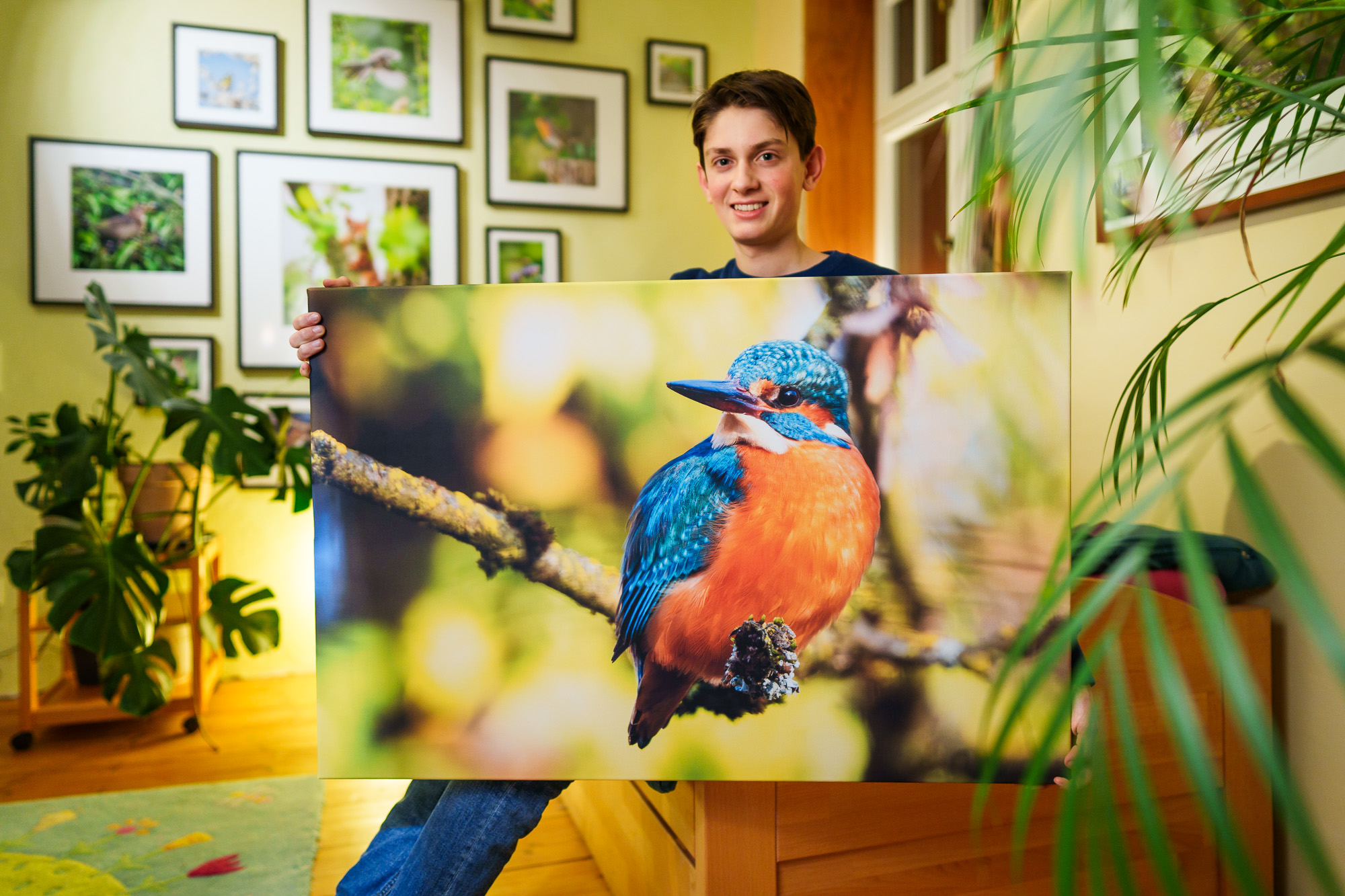 Wandbild Eisvogel