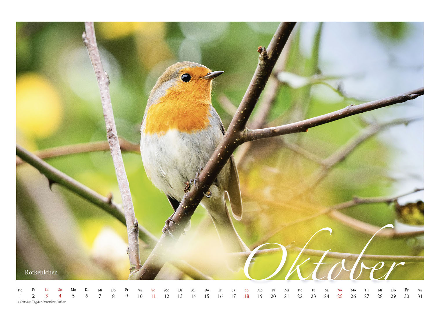 Faszination Natur - Wildtiere vor meiner Kamera