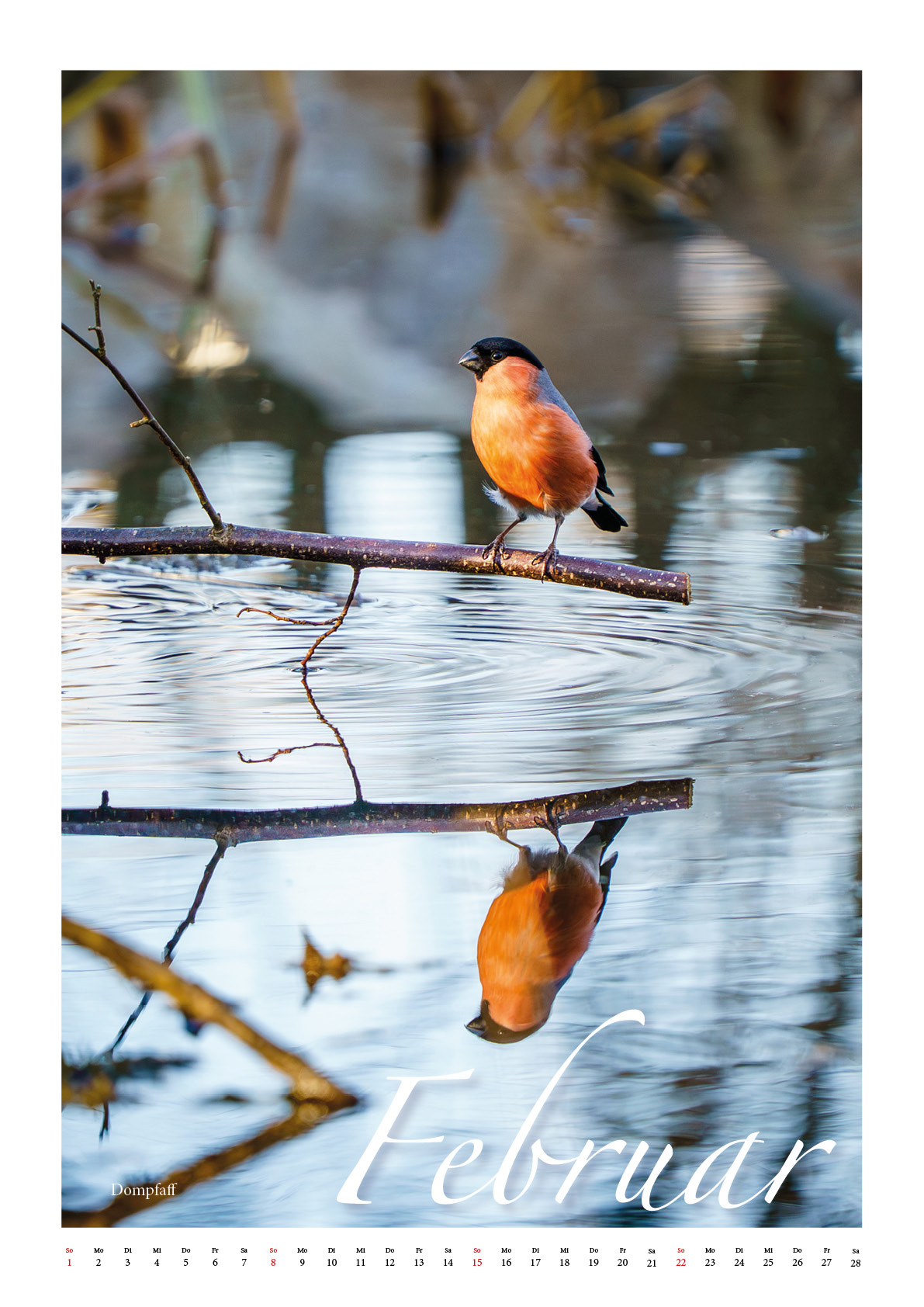 Vögel unserer Heimat 