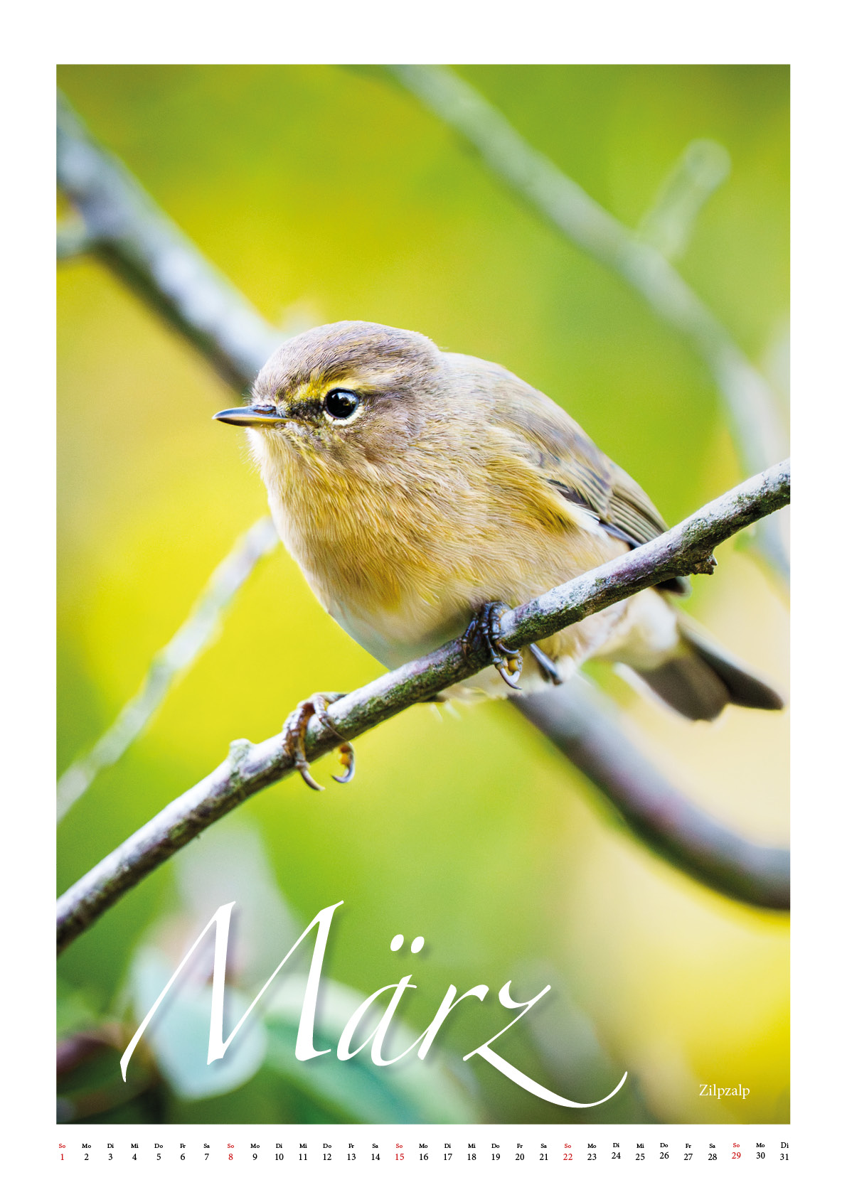 Vögel unserer Heimat 
