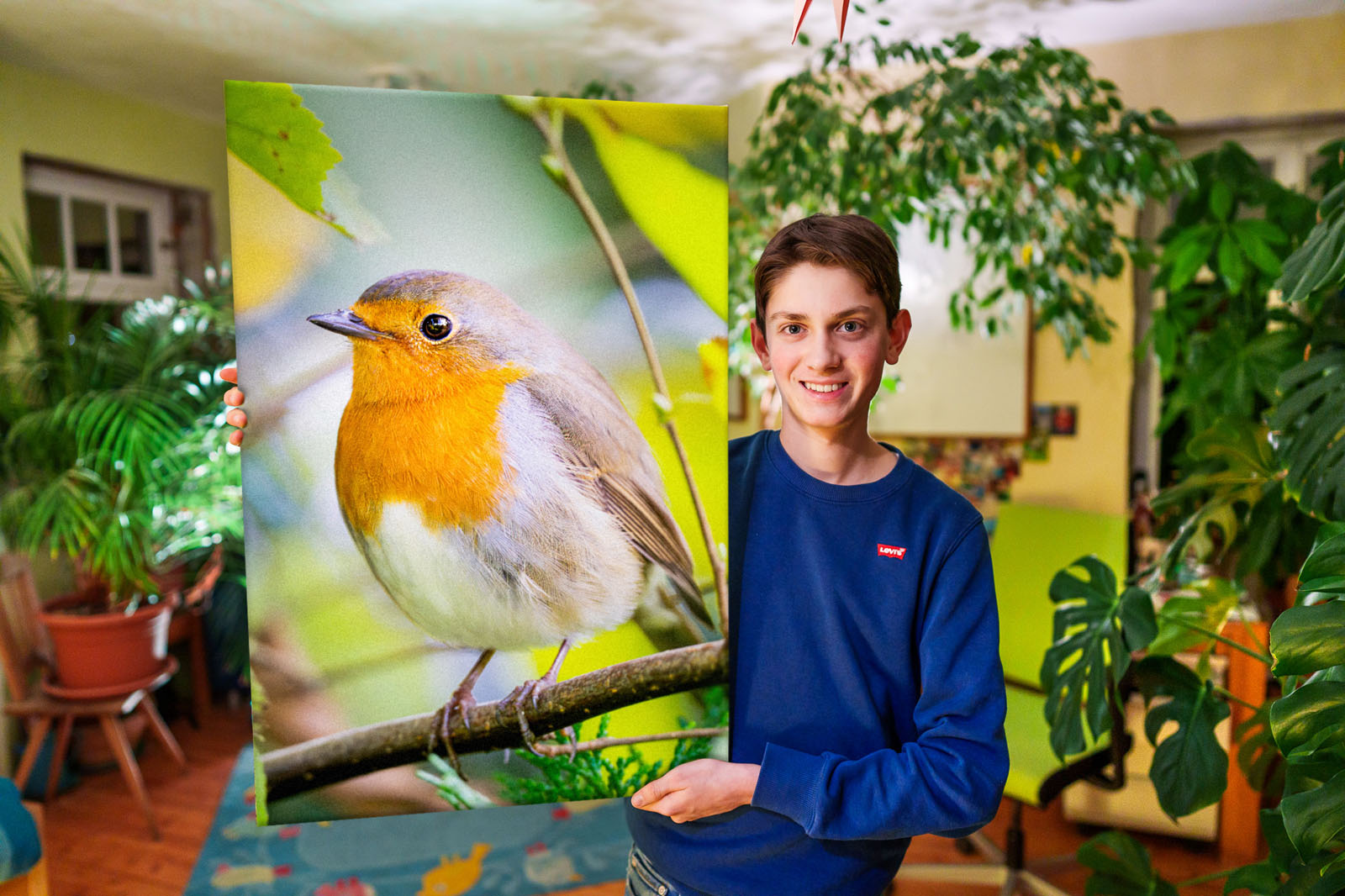 Wandbild Rotkehlchen