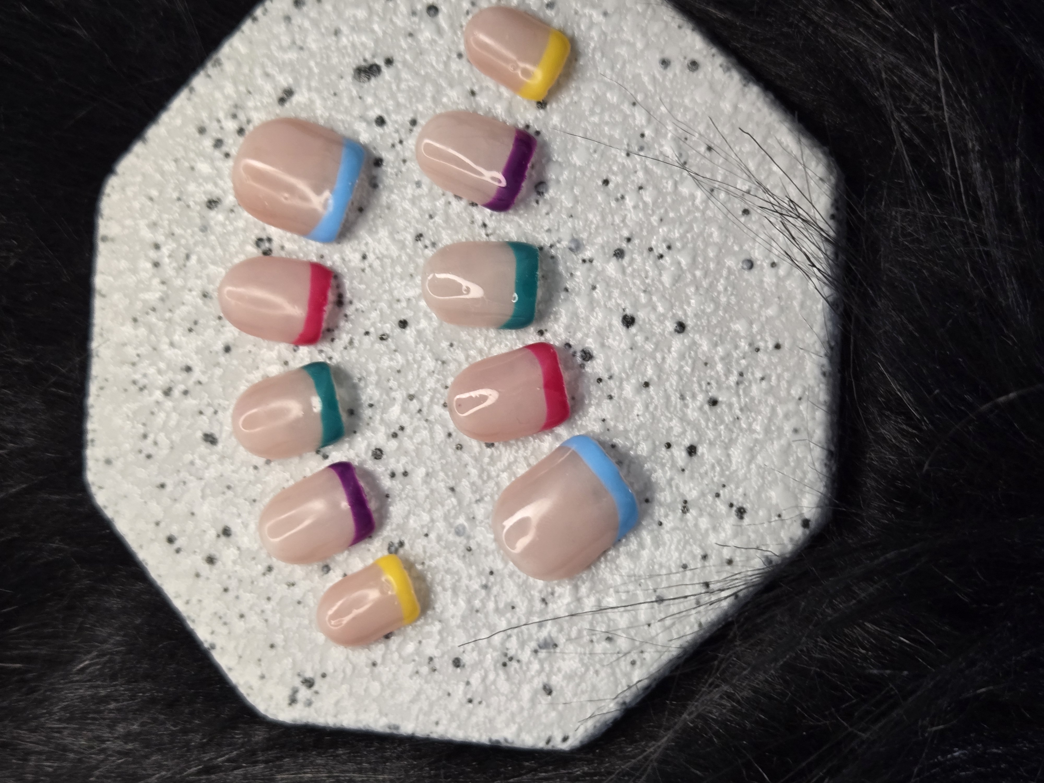 Frenchie multicolore