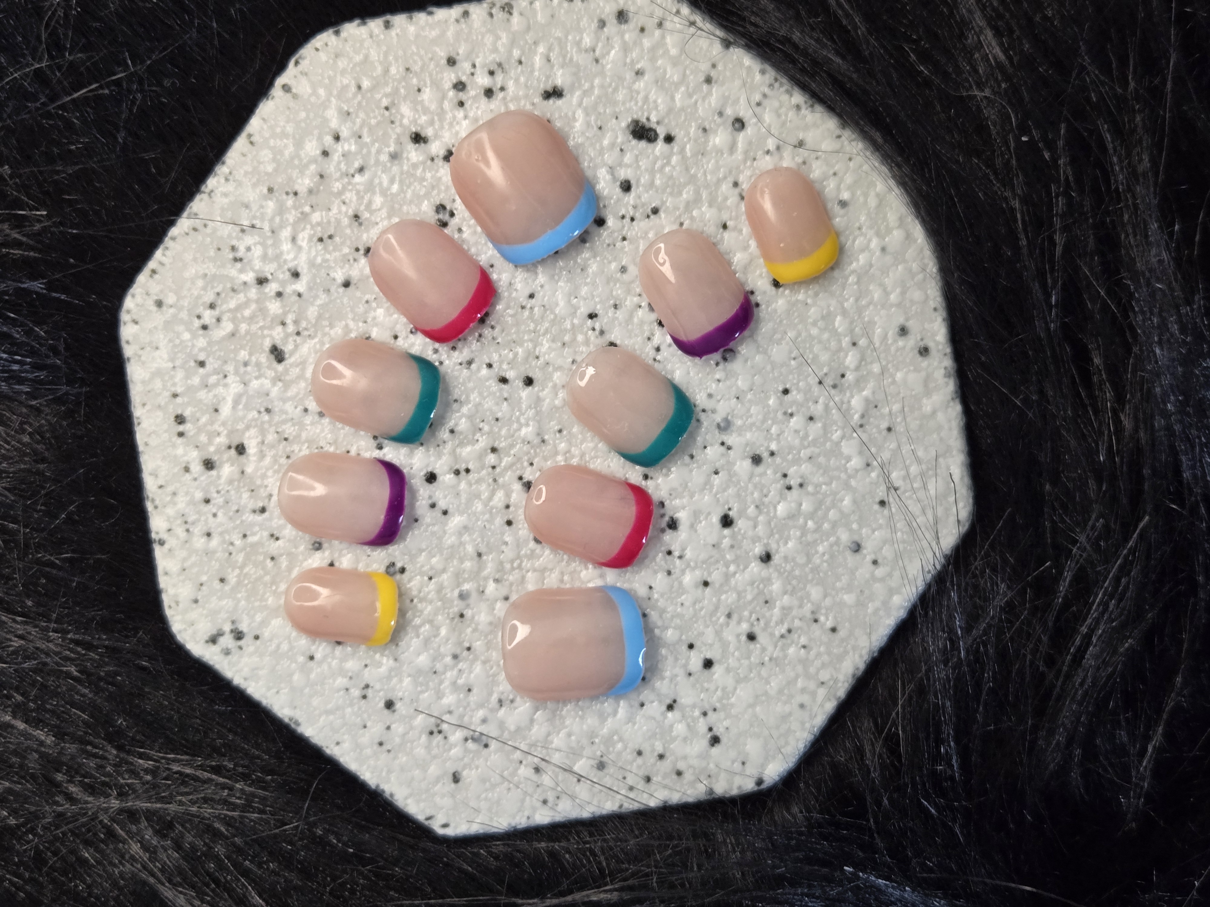 Frenchie multicolore