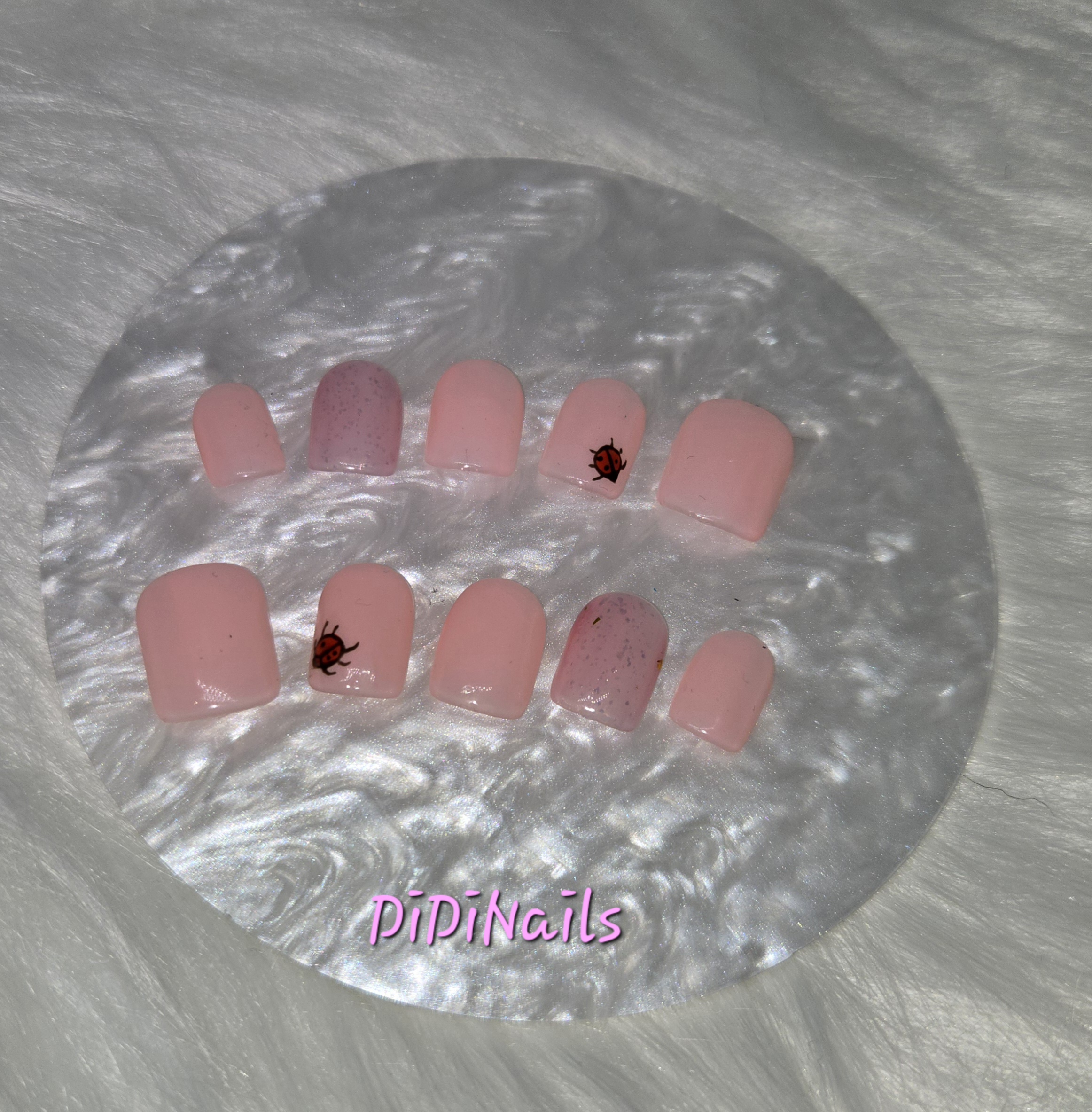 Coccinelle solo