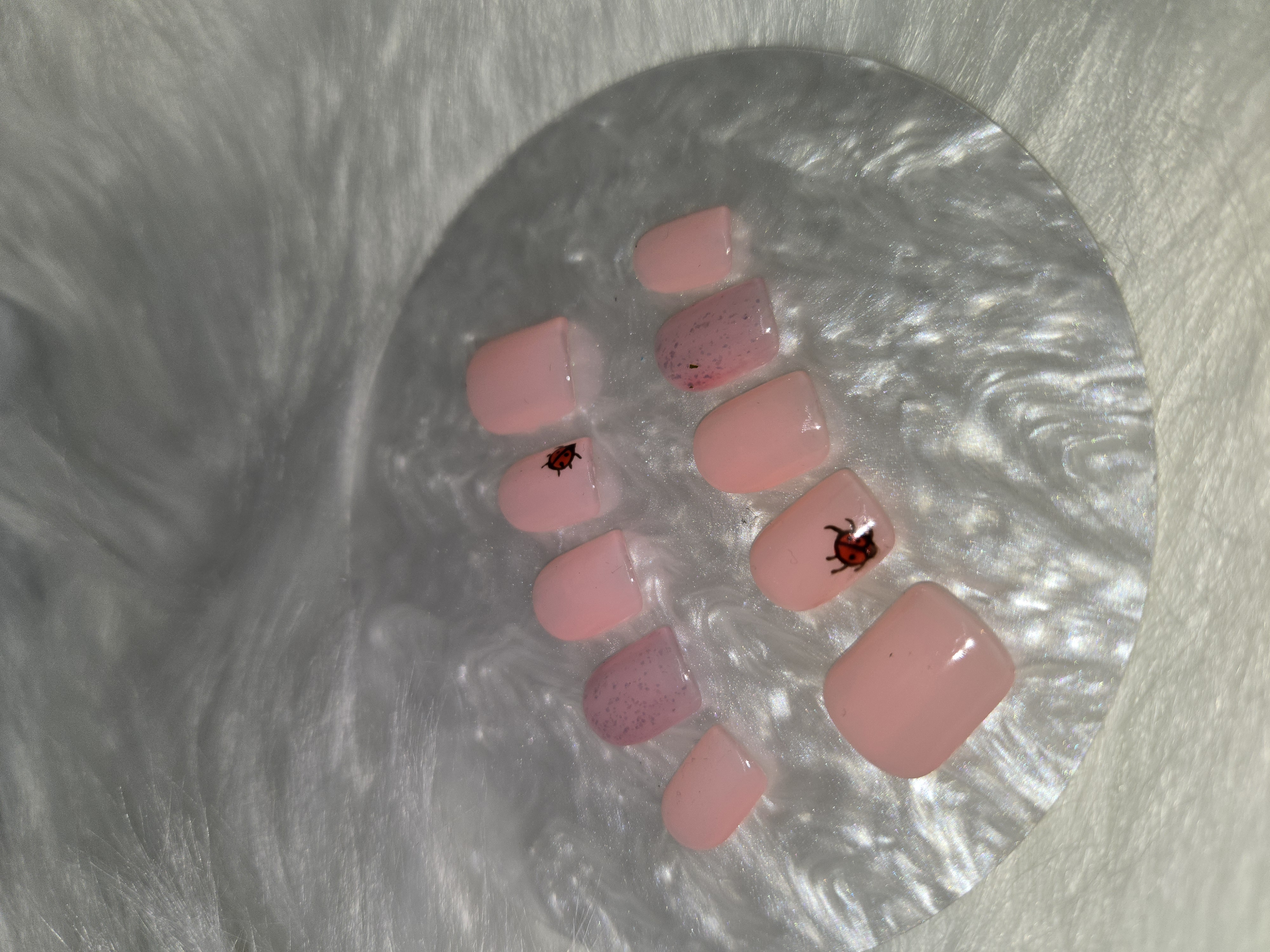 Coccinelle solo
