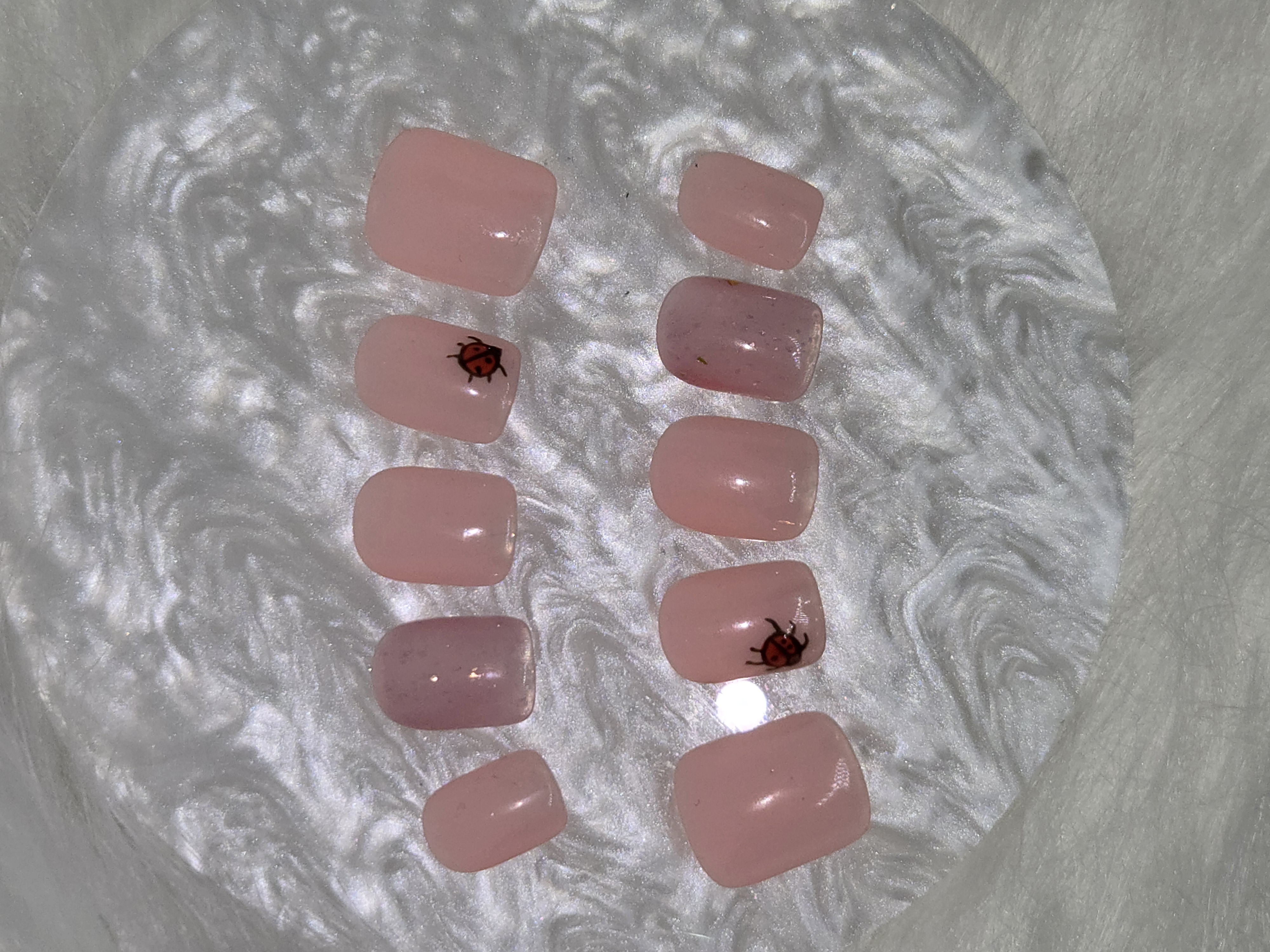 Coccinelle solo